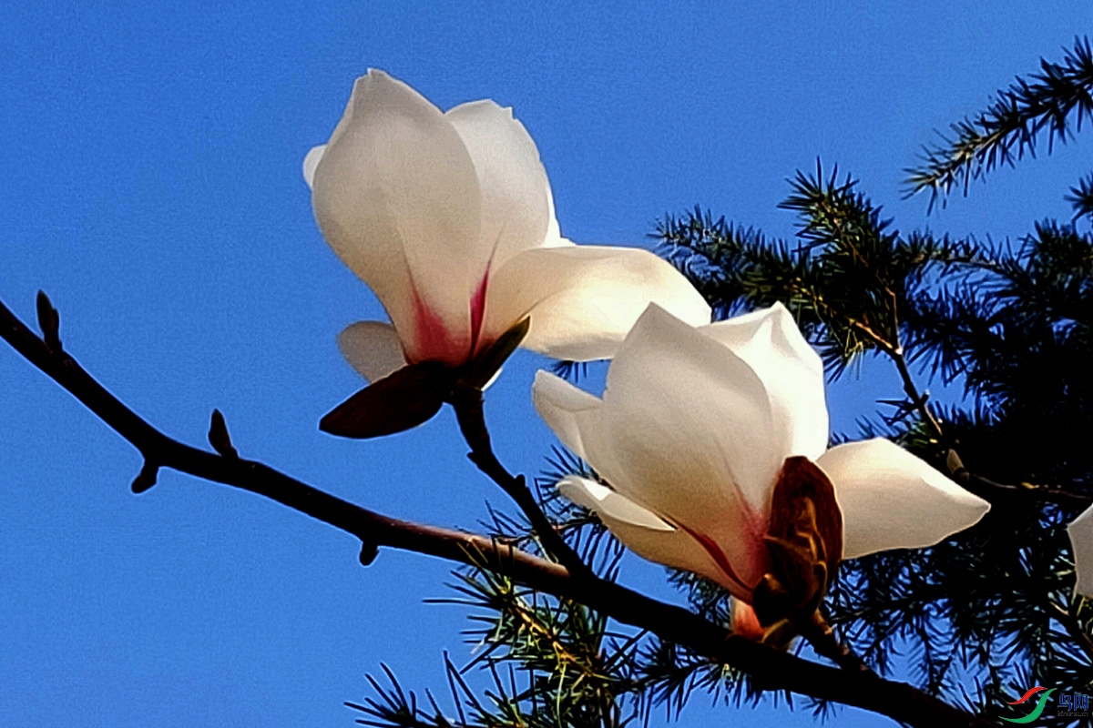 IMG20240321093255.jpg