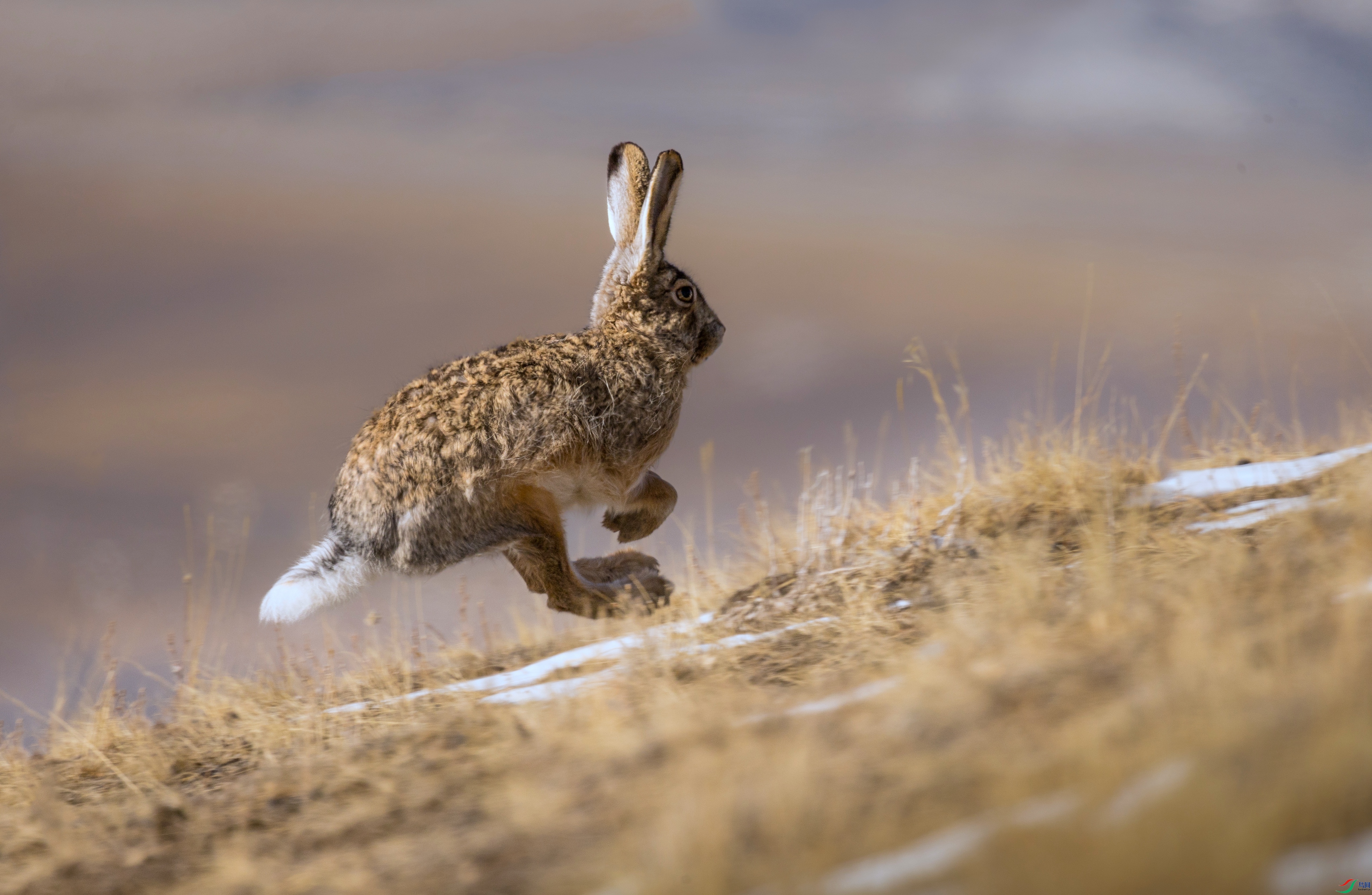 7X5A8194 ���� - ����.jpg