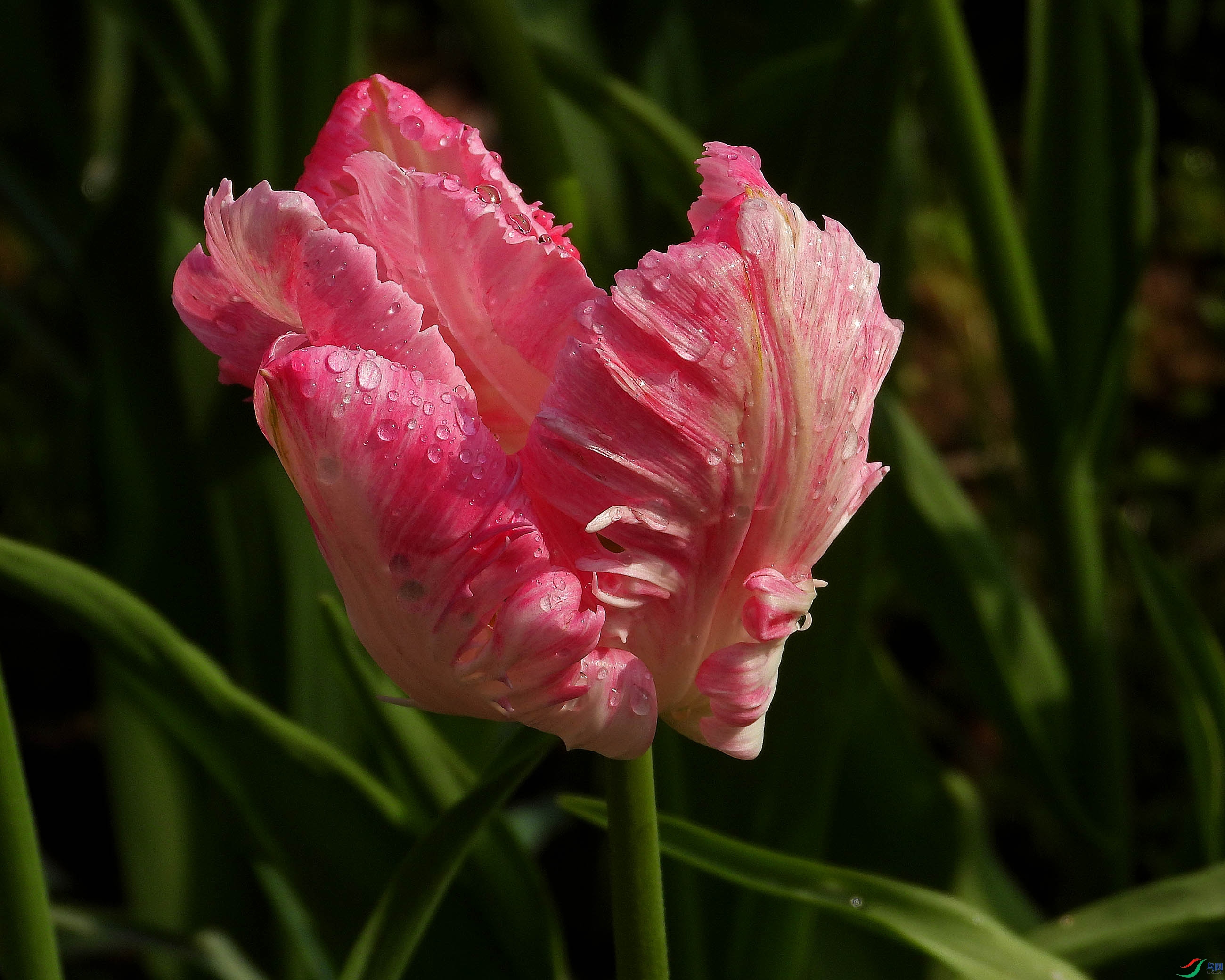 DSCN2773.JPG