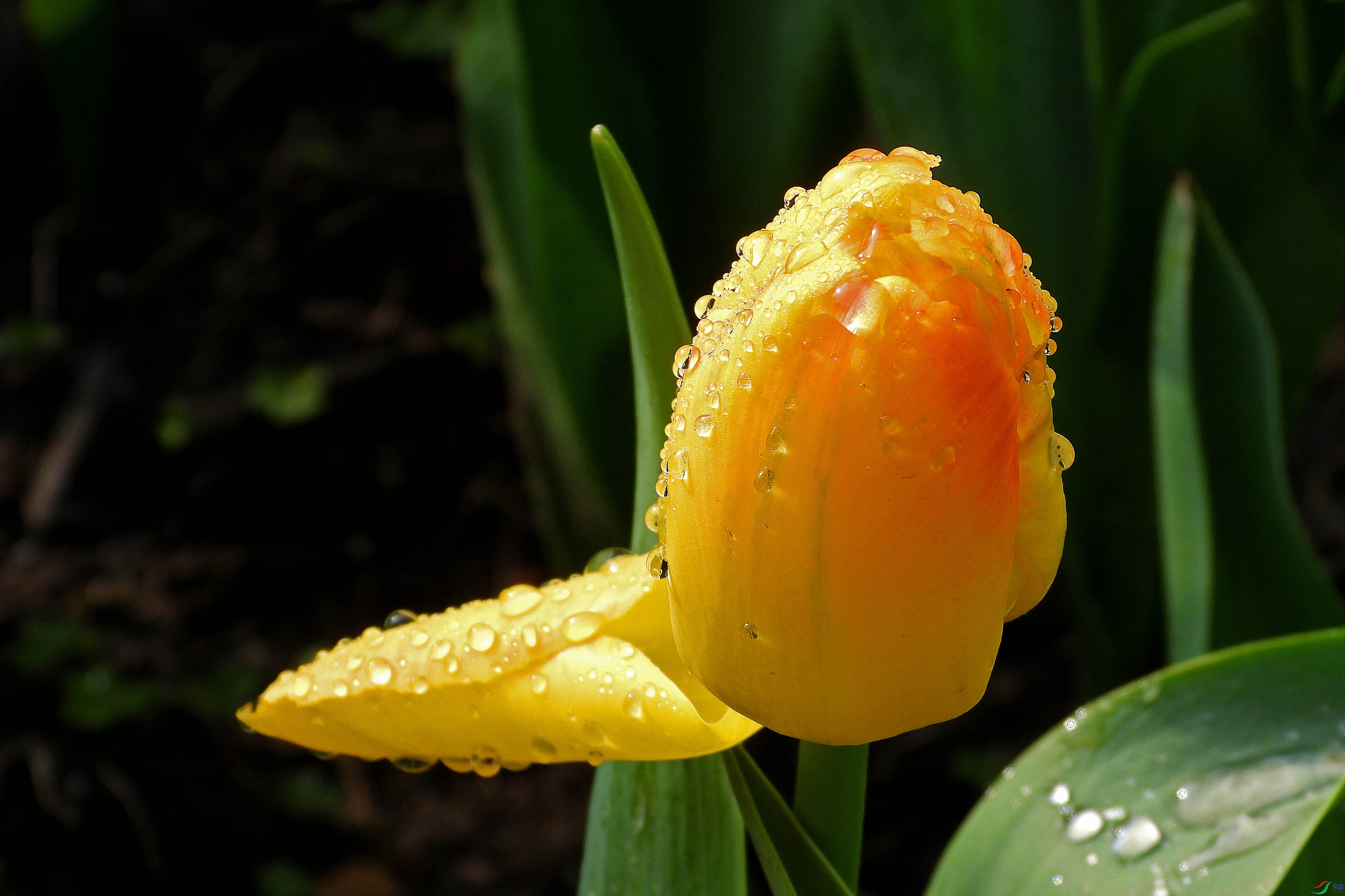 DSCN2752.JPG