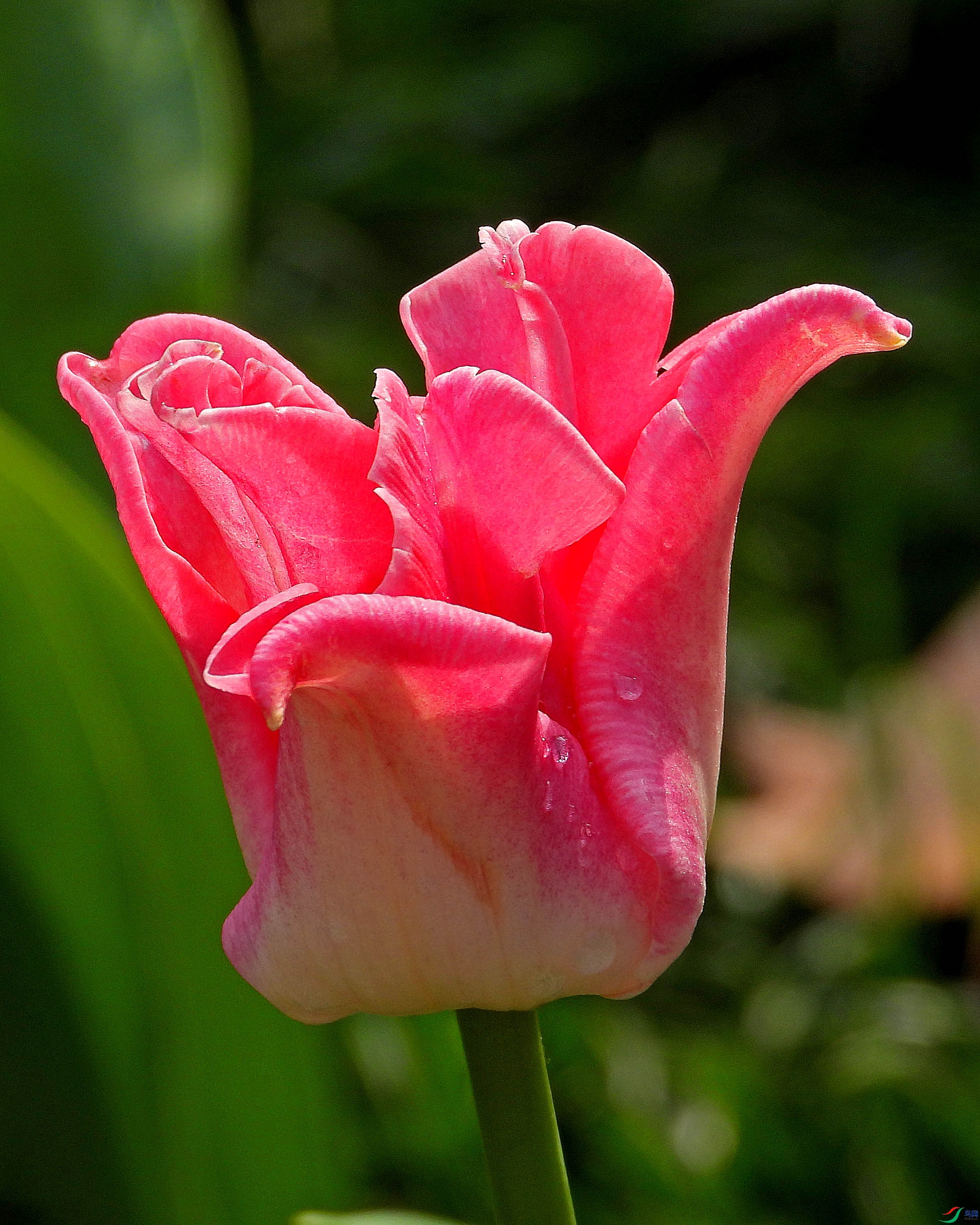 DSCN2777.JPG