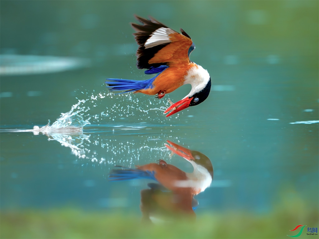 Reflection in water.jpg