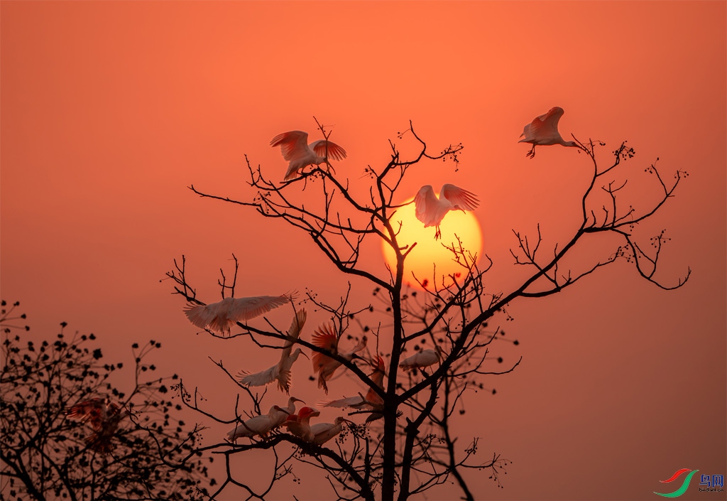 sunrise.jpg