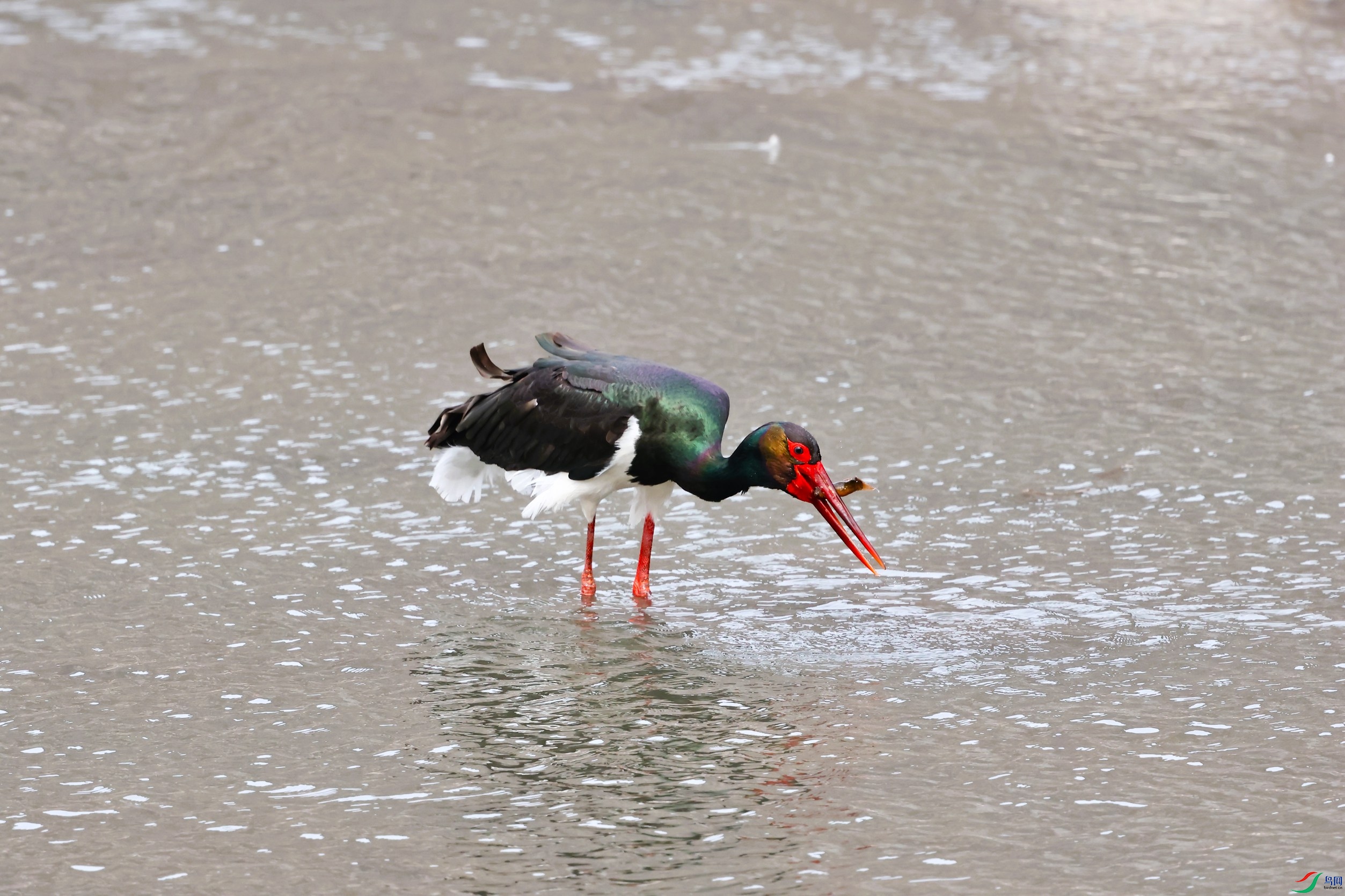 ���� (128).JPG