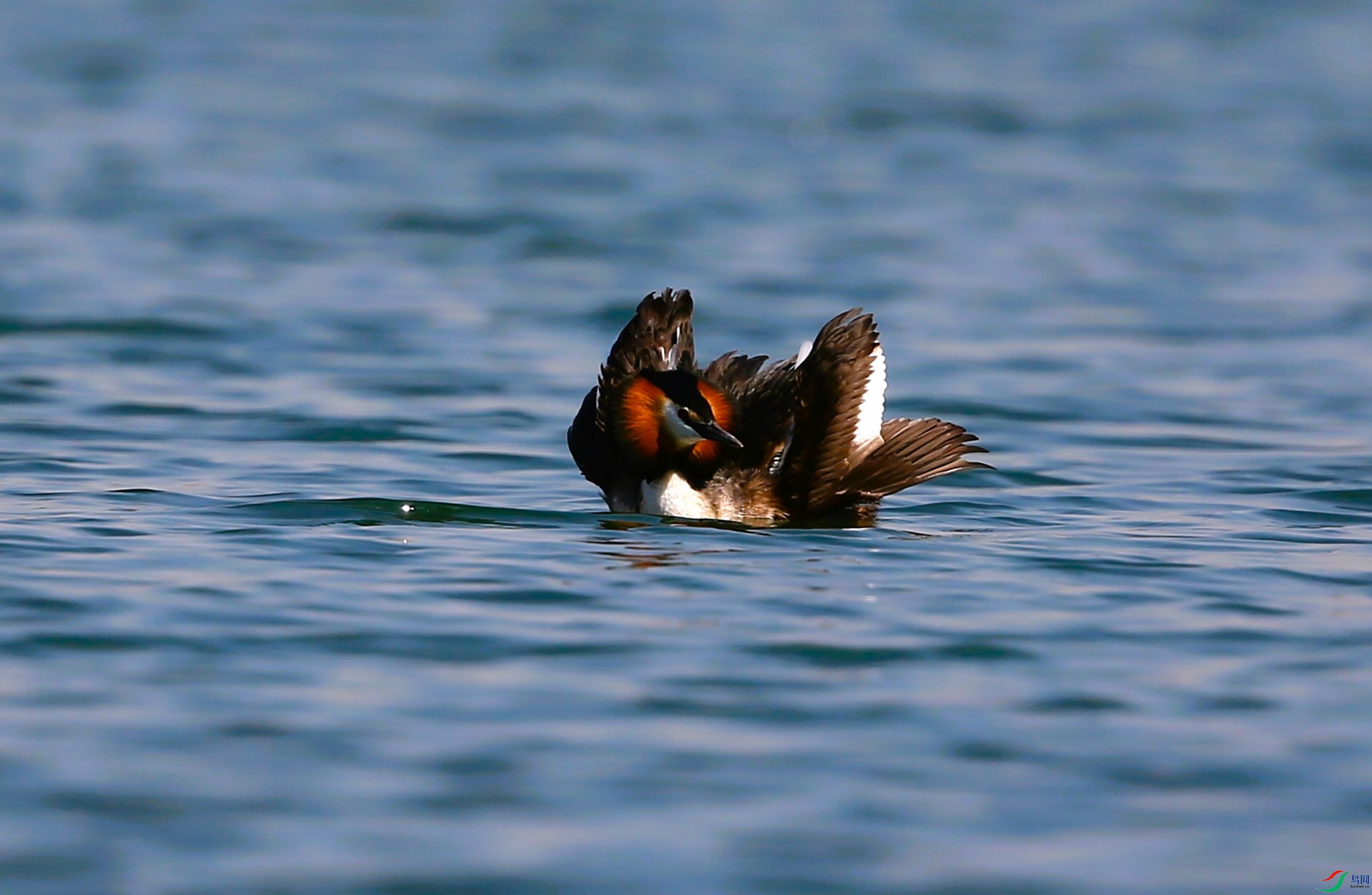 ��ͷ�a�� (204).JPG