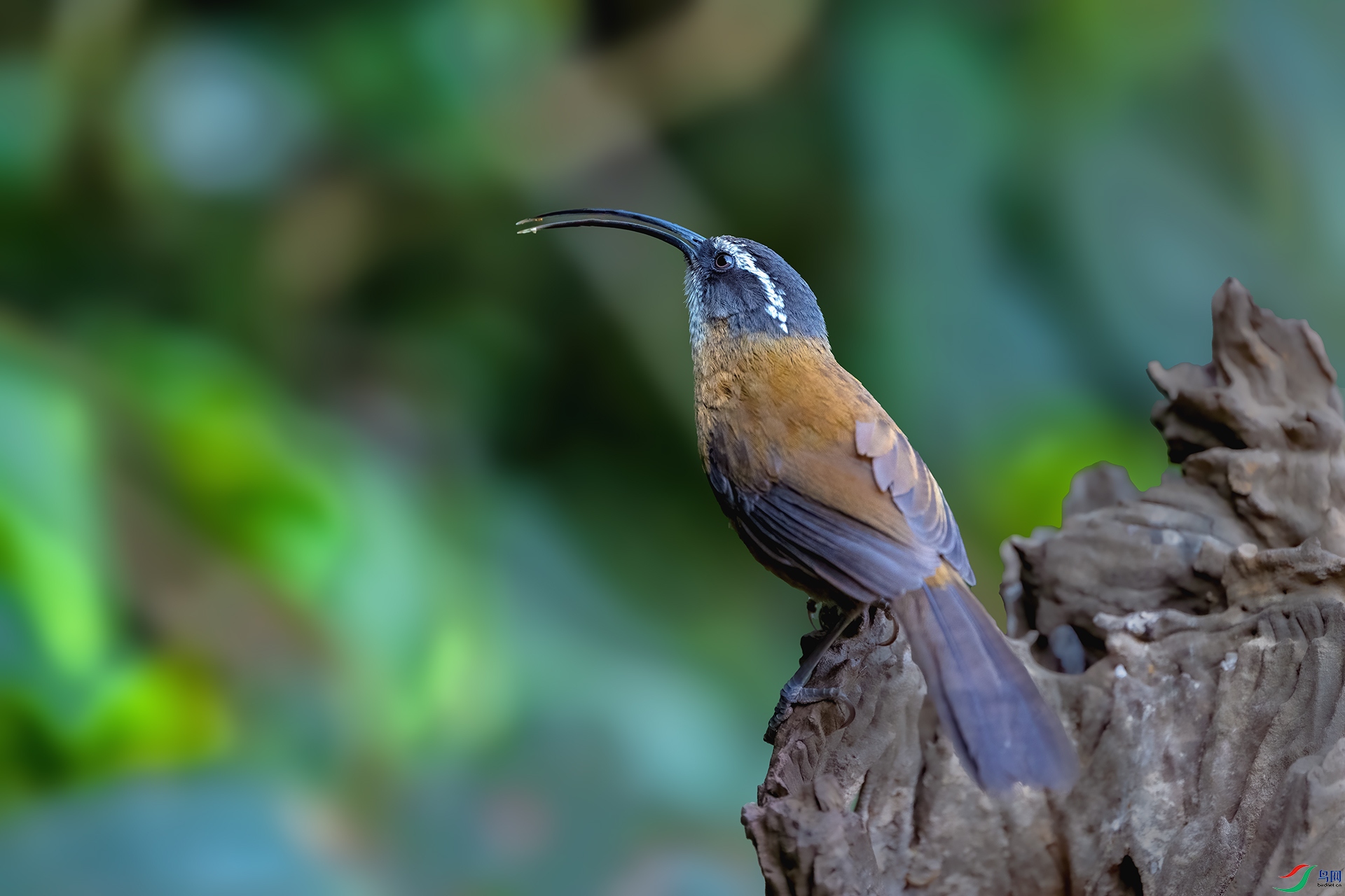 _DSC3104 ����.jpg