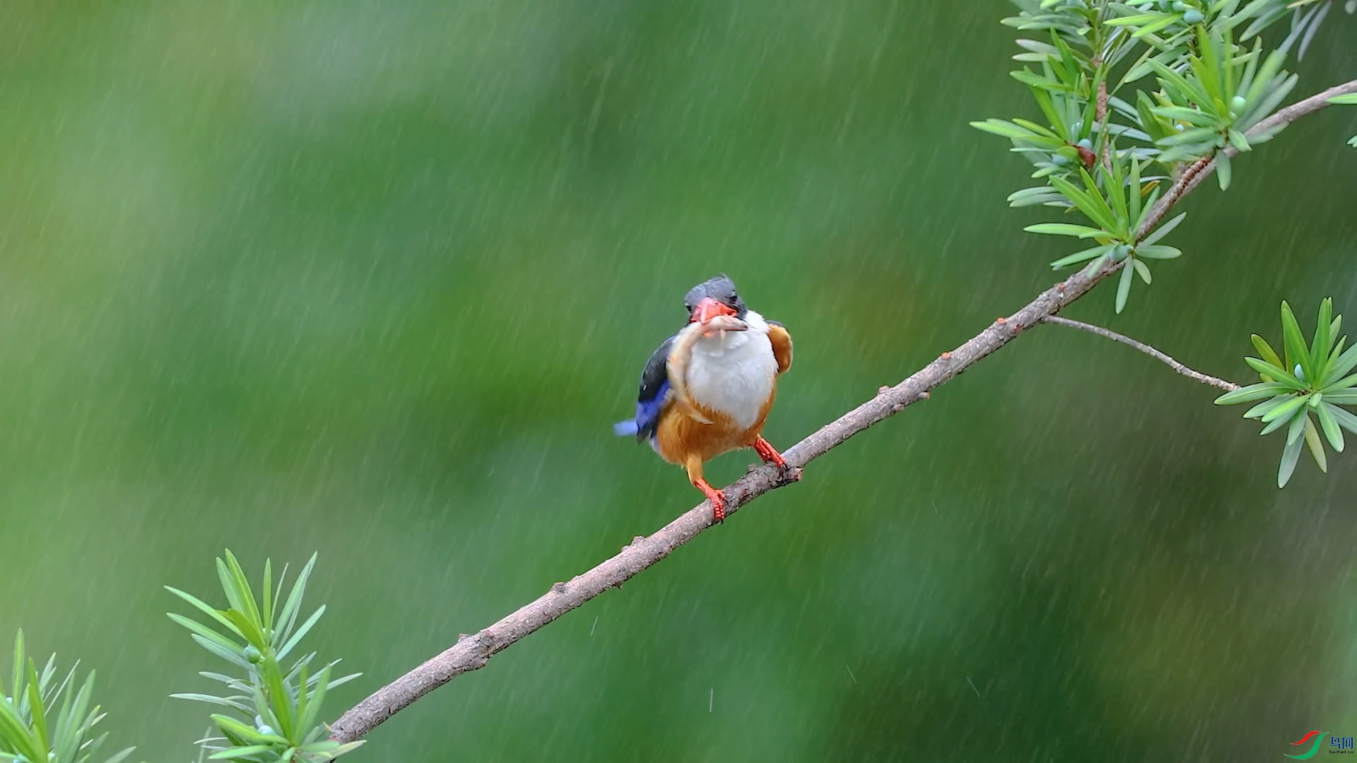 ���� ����3��20��.jpg