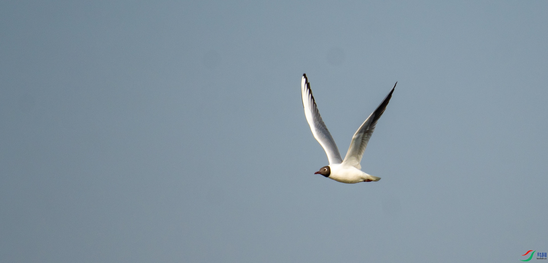 DSC_6163.jpg