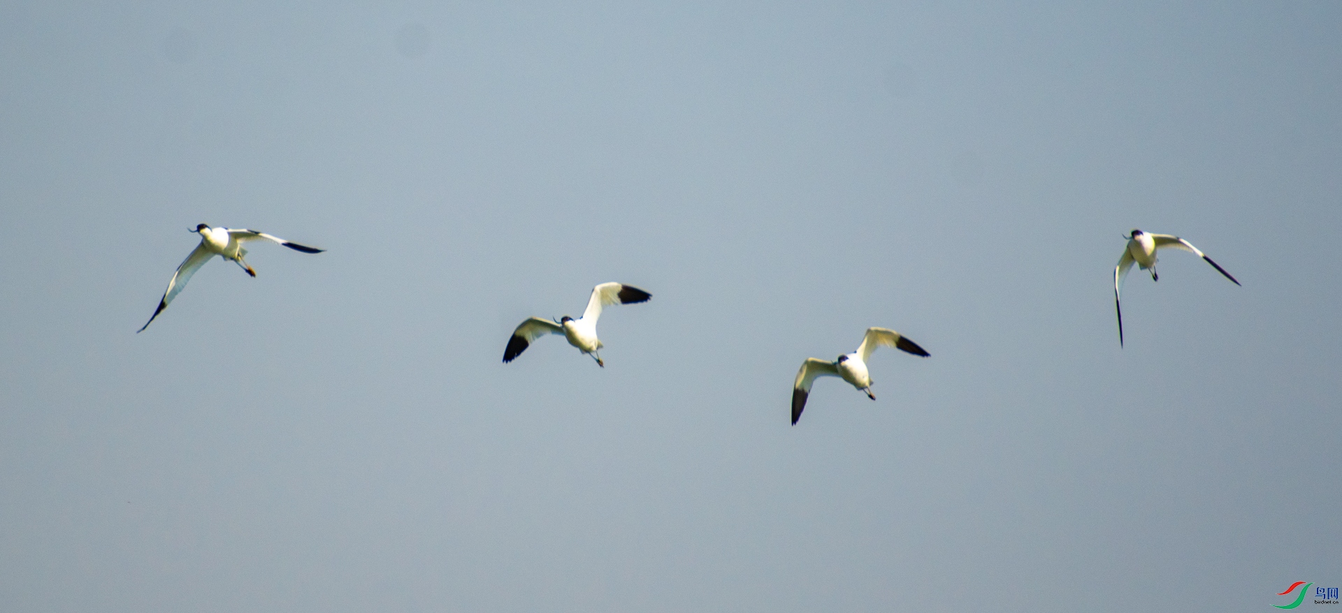 DSC_6187.jpg