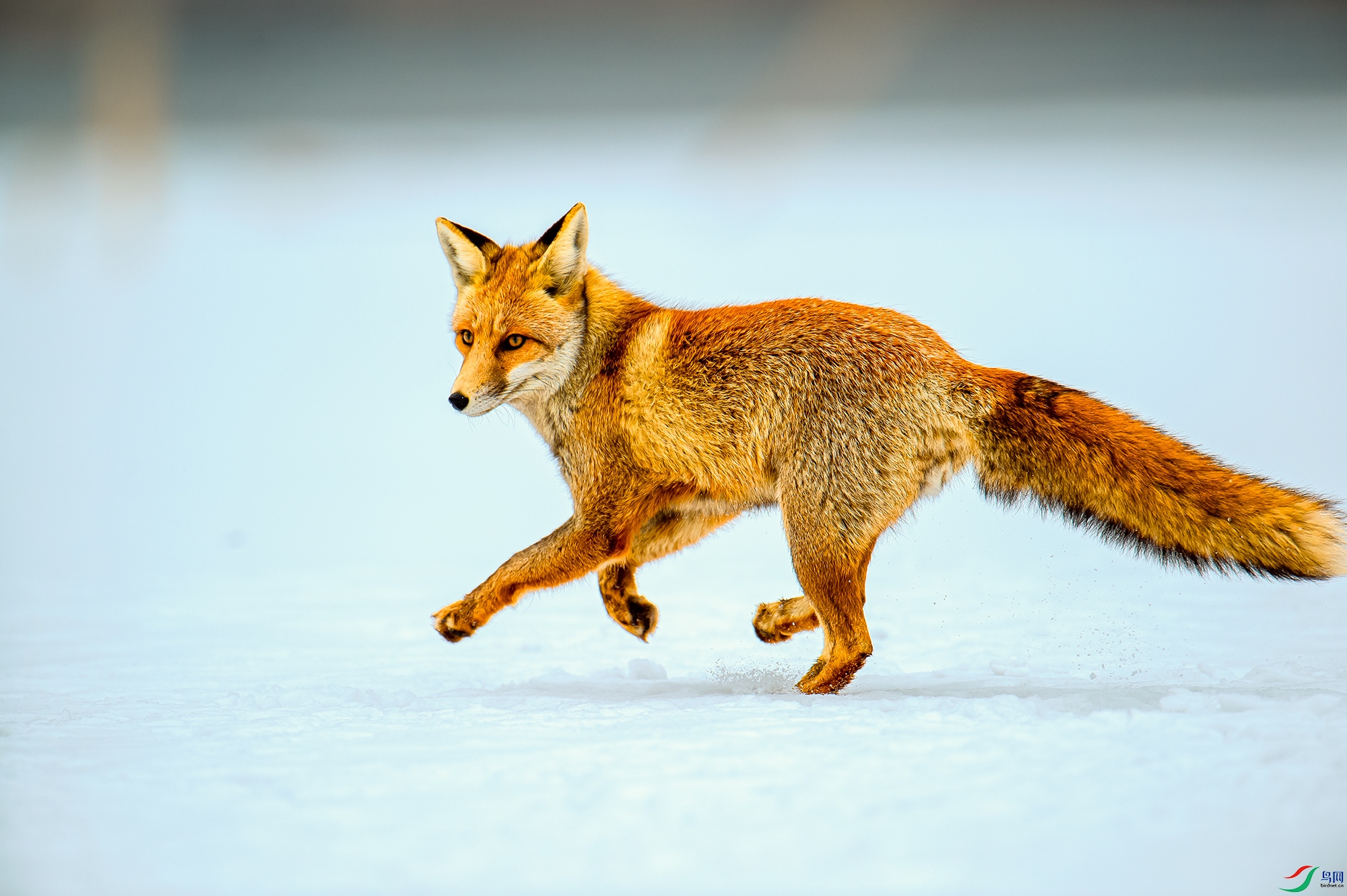 YJY_2505 ����_����.jpg