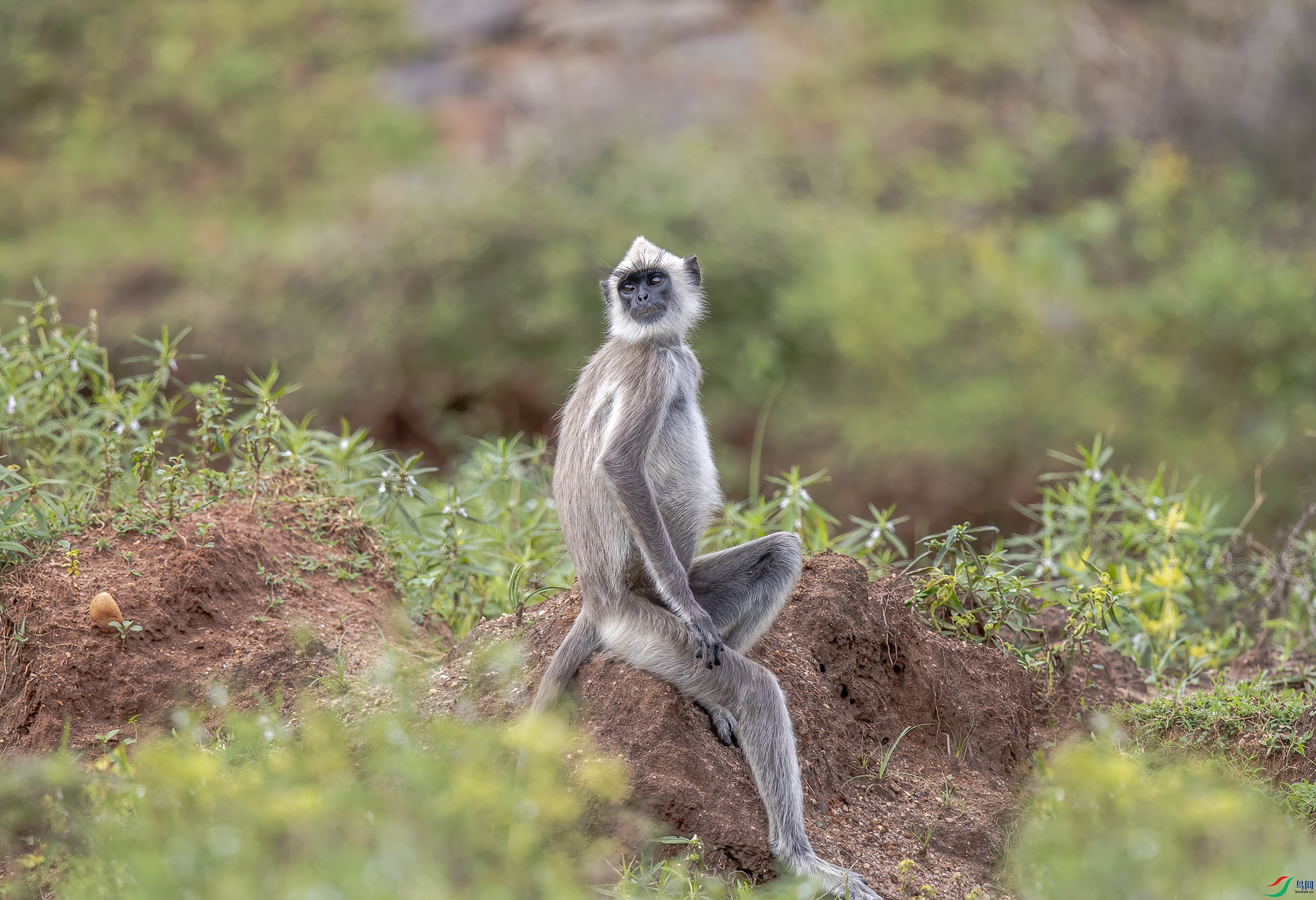 AC3I7868 ����.jpg