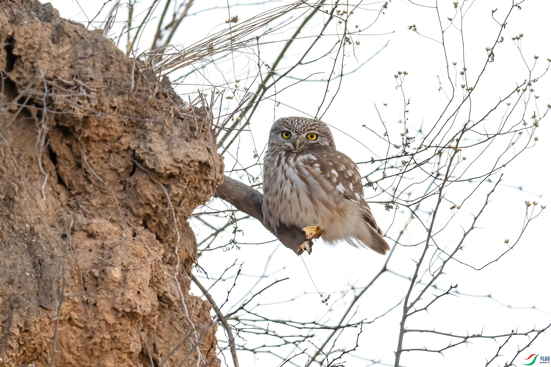 DSC_0490.jpg