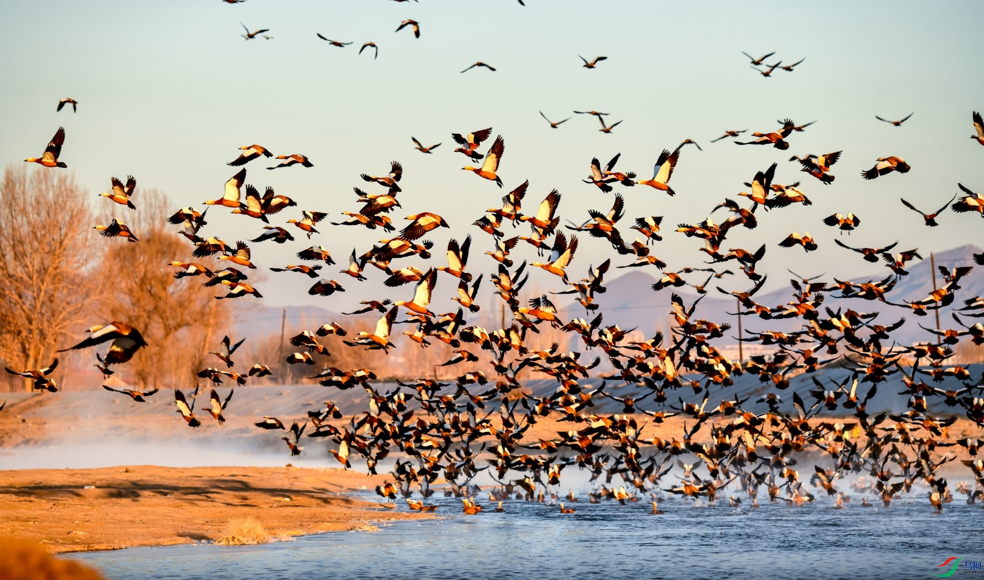 ���裨һ��