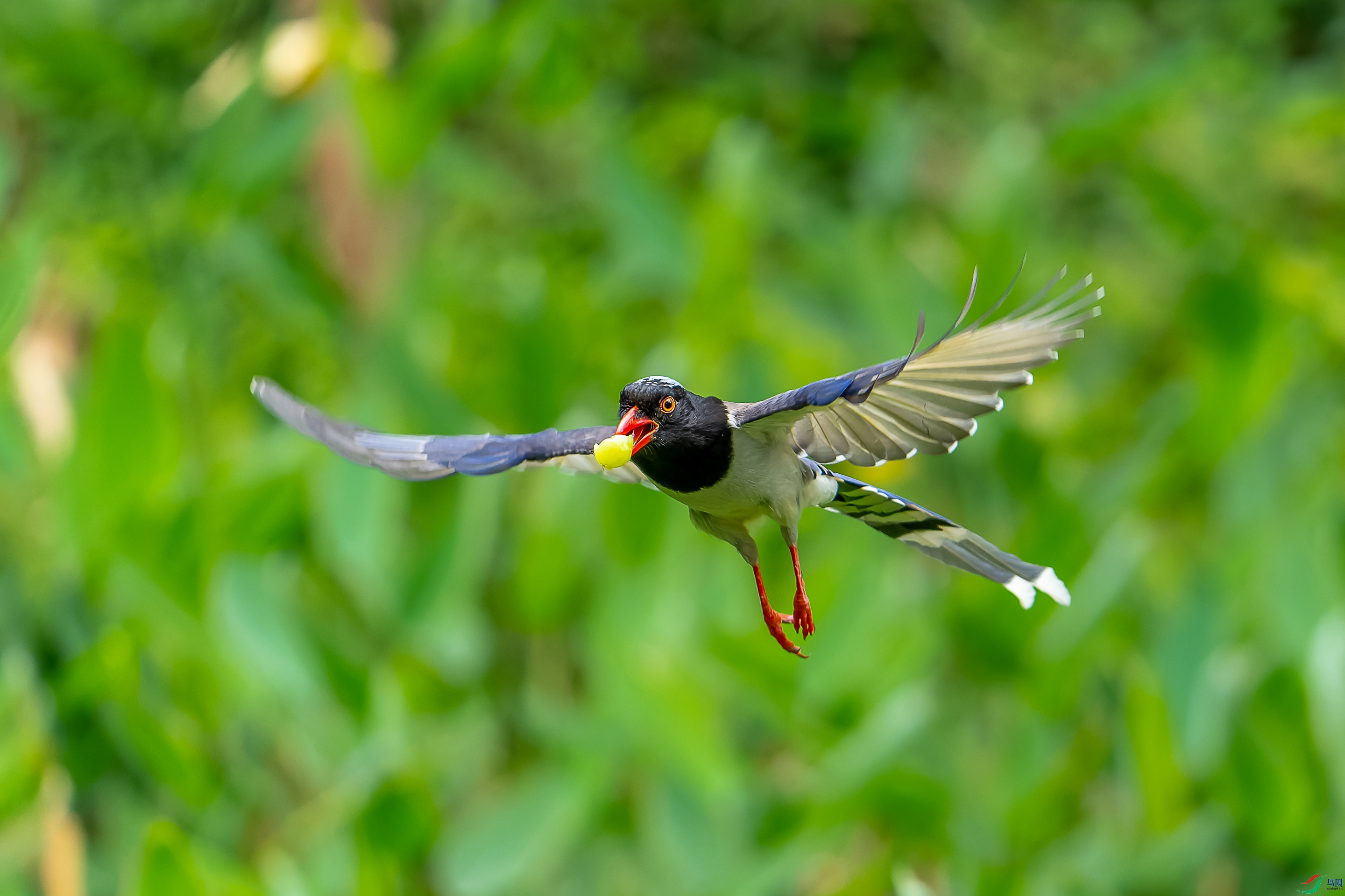 DSC05741-1.jpg
