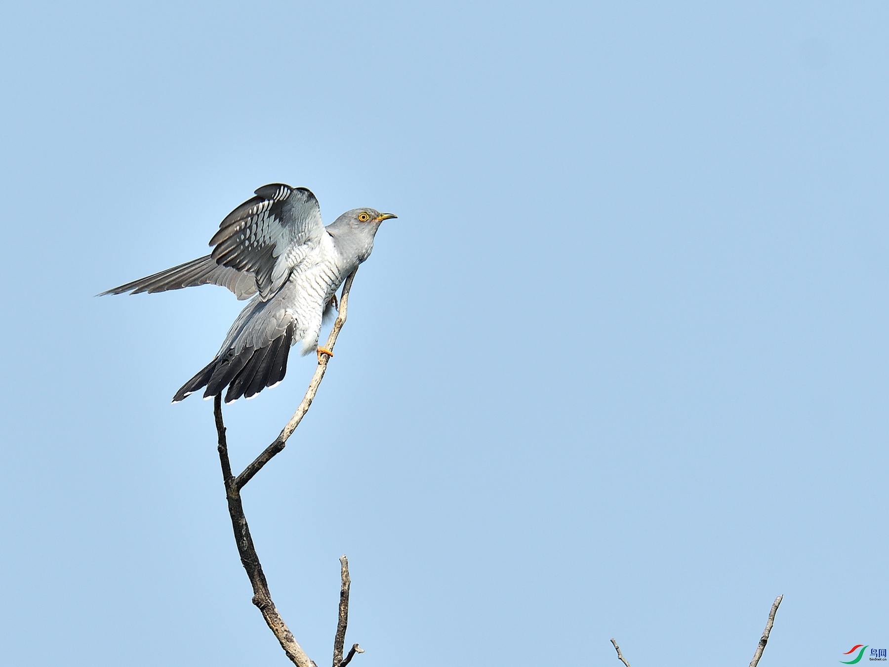 DSC_8891.JPG
