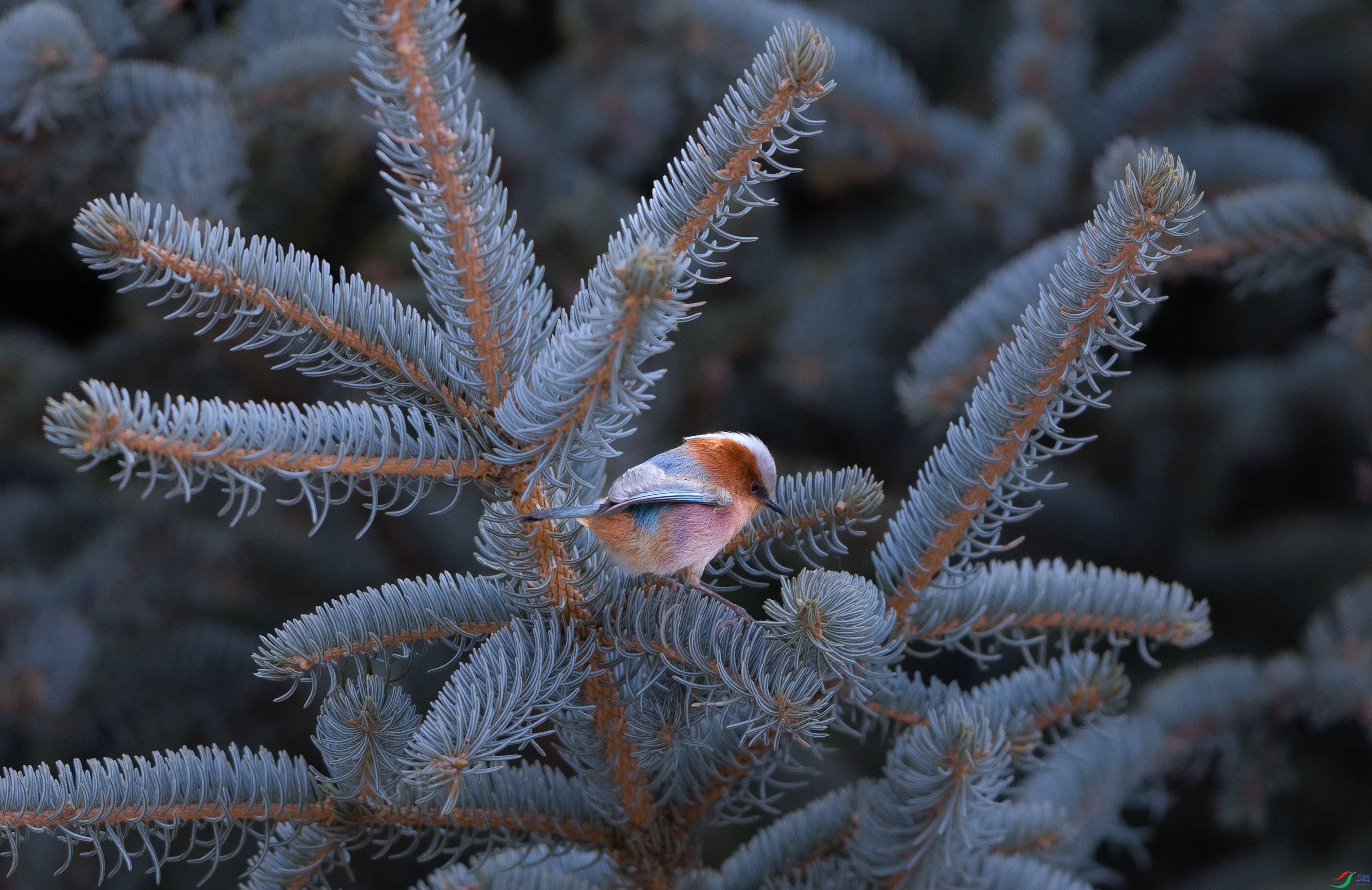 7X5A0057 ���� - ����.jpg