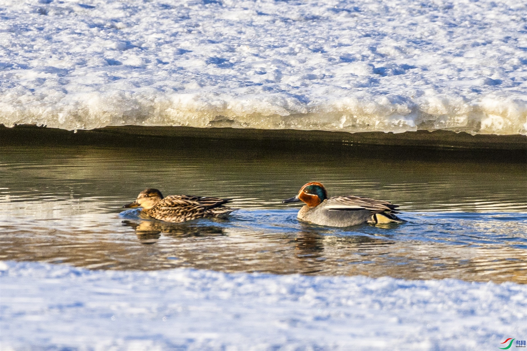 1K3A7154 ����1.jpg