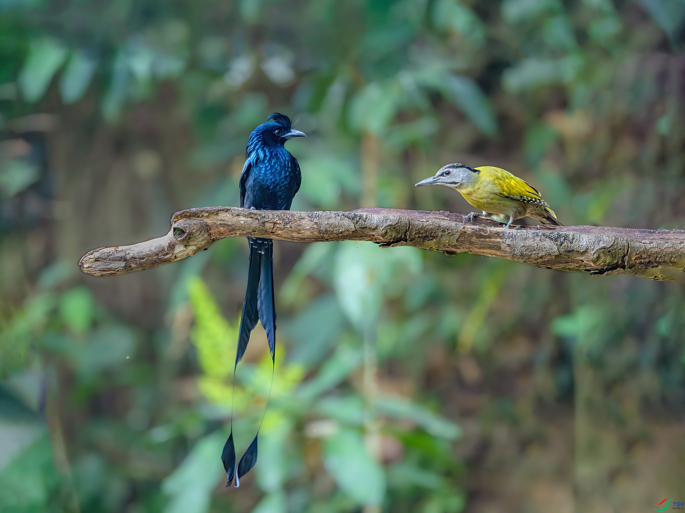 _DSC7478-����ǿ-NR ����.jpg