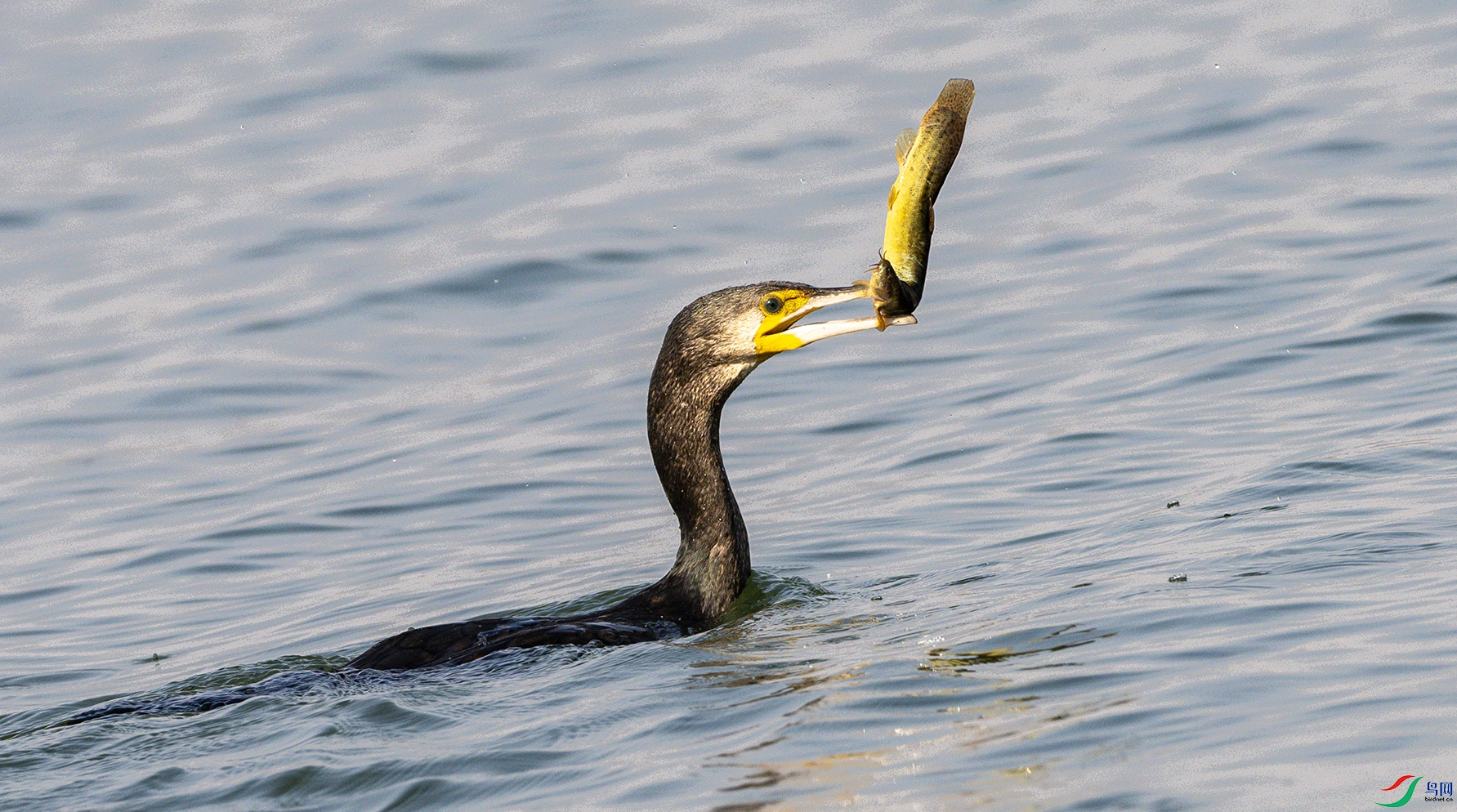 2643 ����.jpg