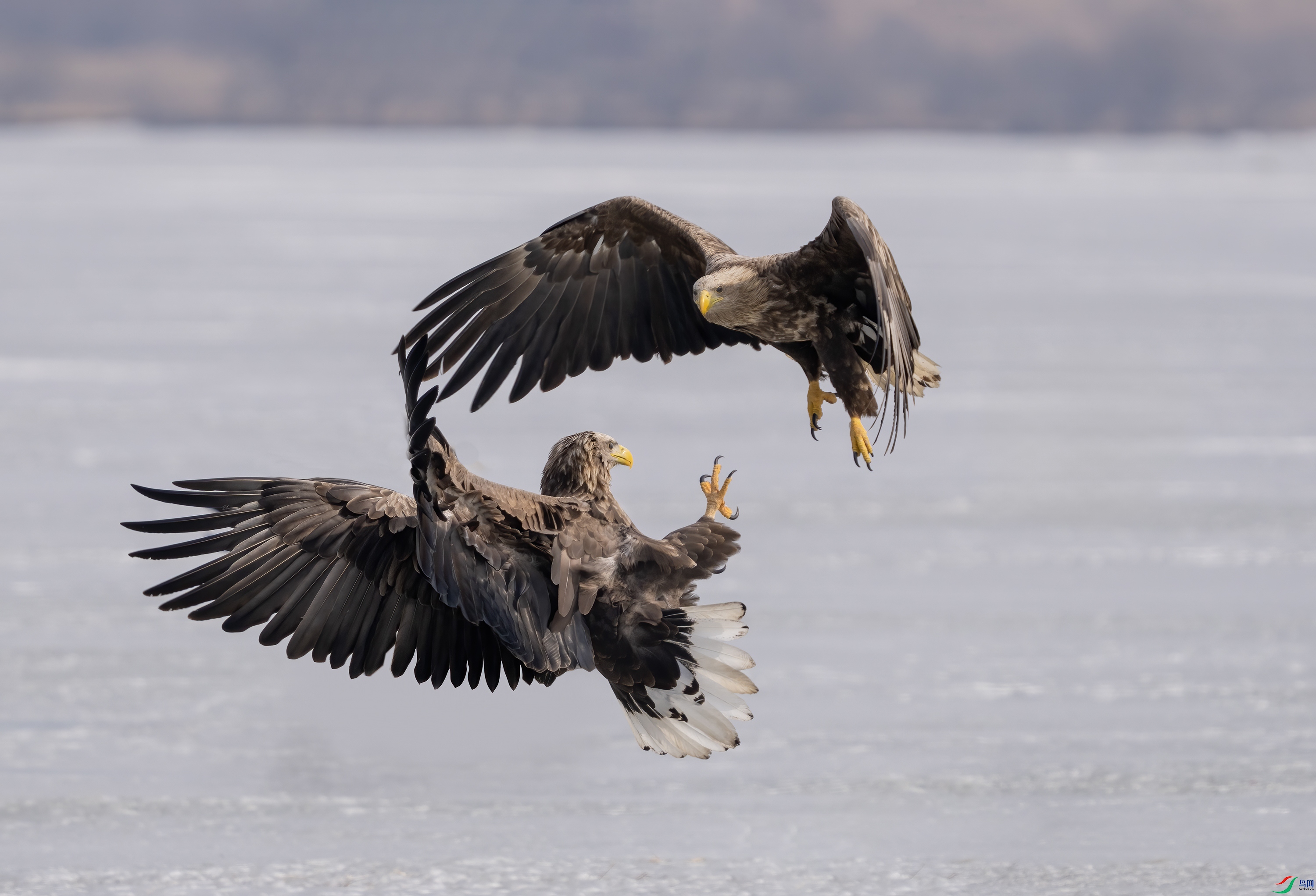 DSC08974 ���� 2.jpg