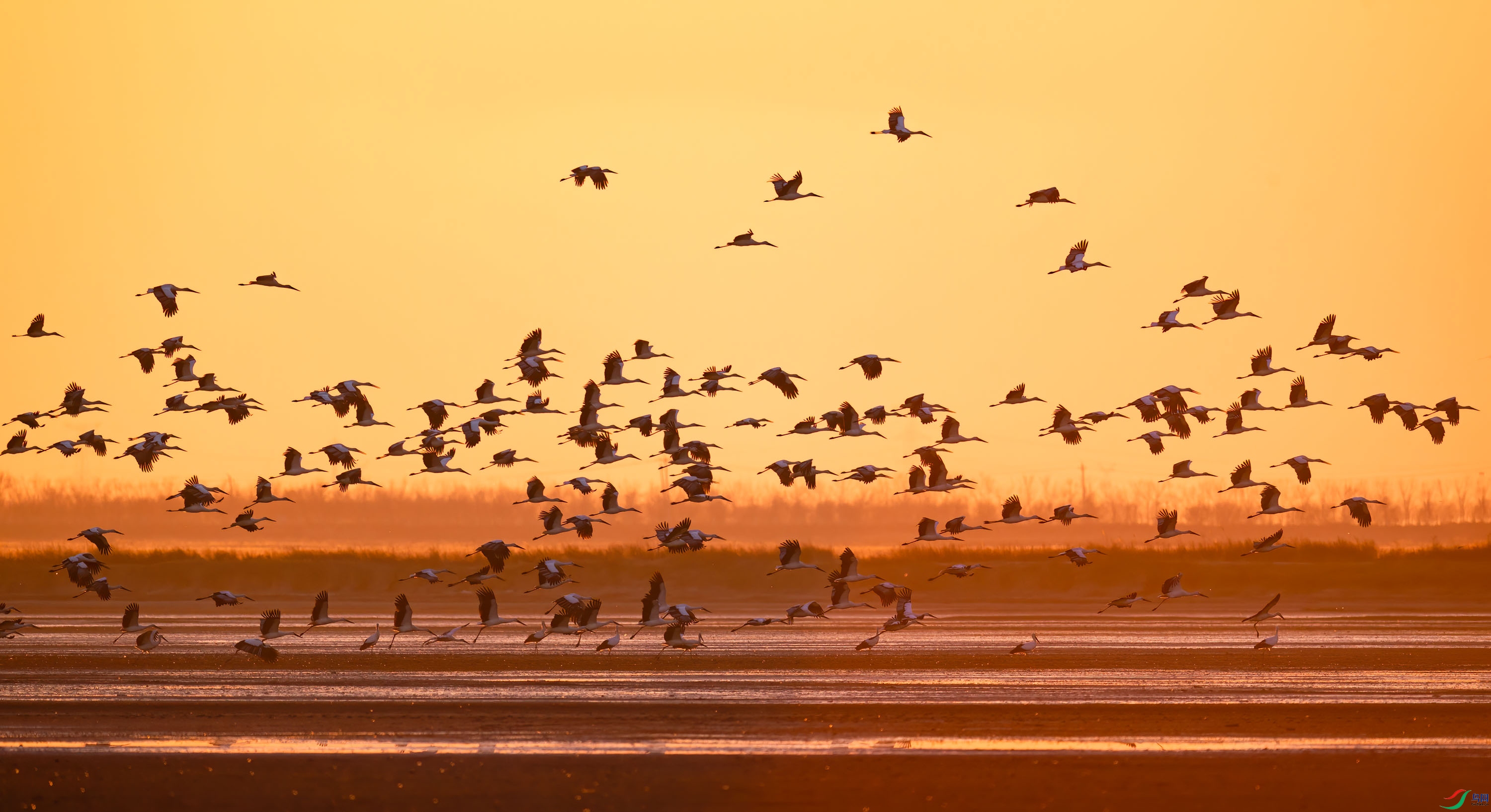 Ⱥ�����ƺƴ�