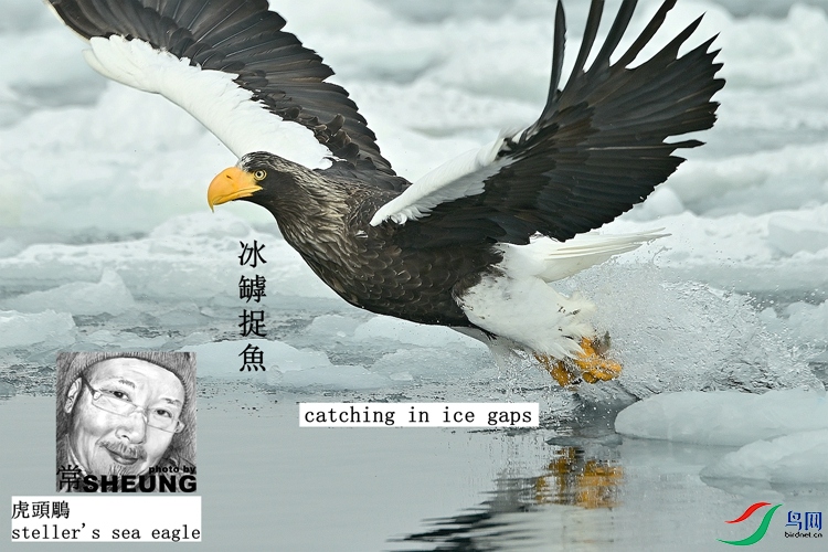 ssd DSC_7626 3nmete.jpg