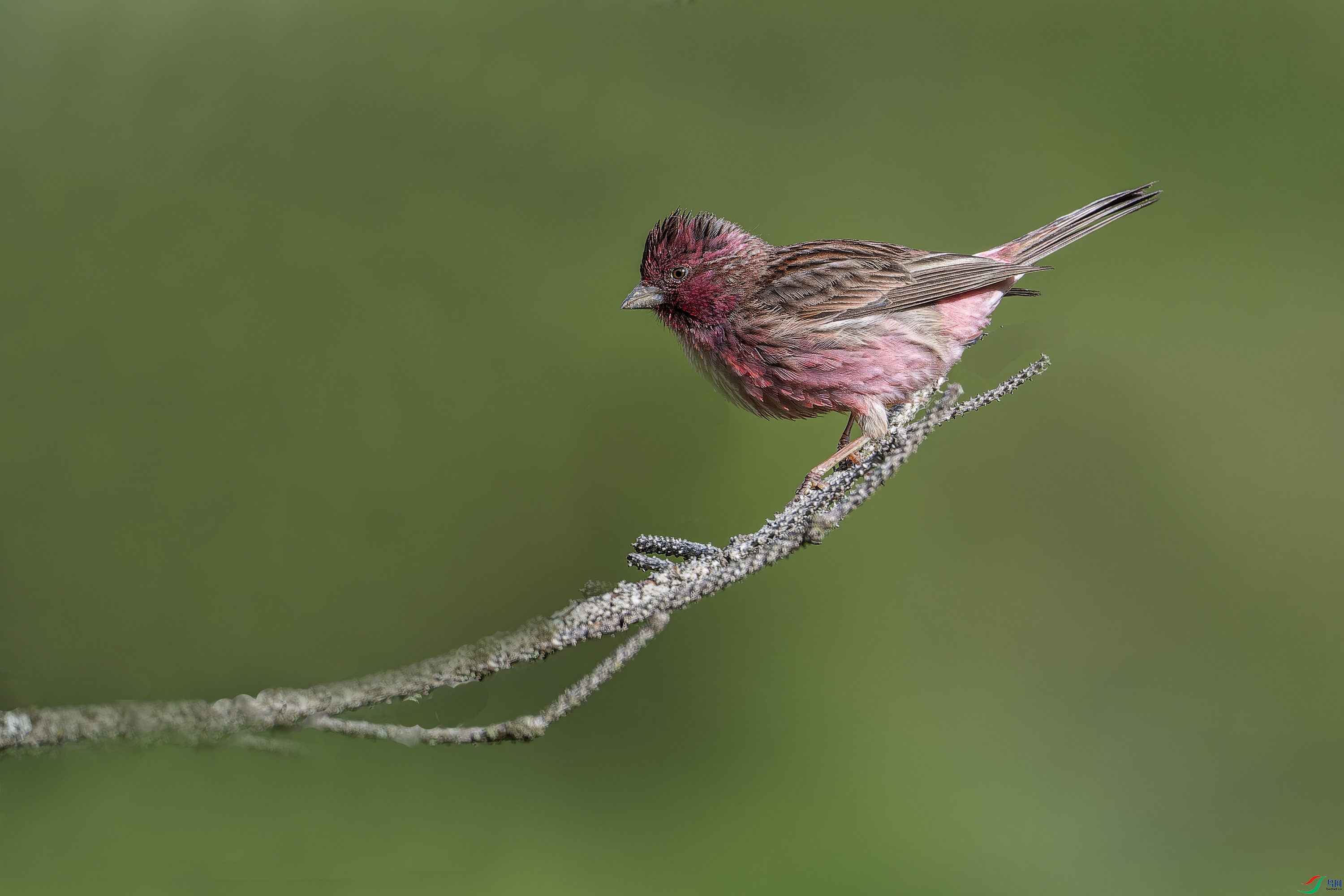 �����ȸ (1)-1.jpg