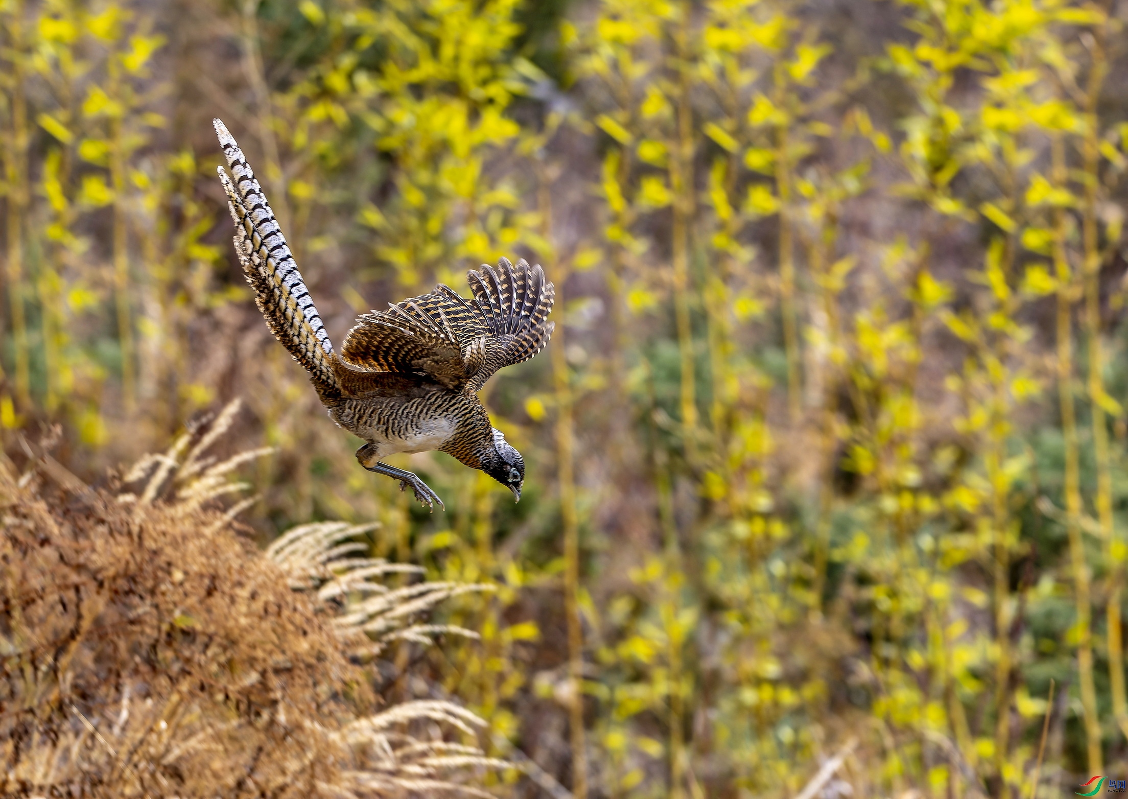 �׸����� (һ�� (7)-1.jpg