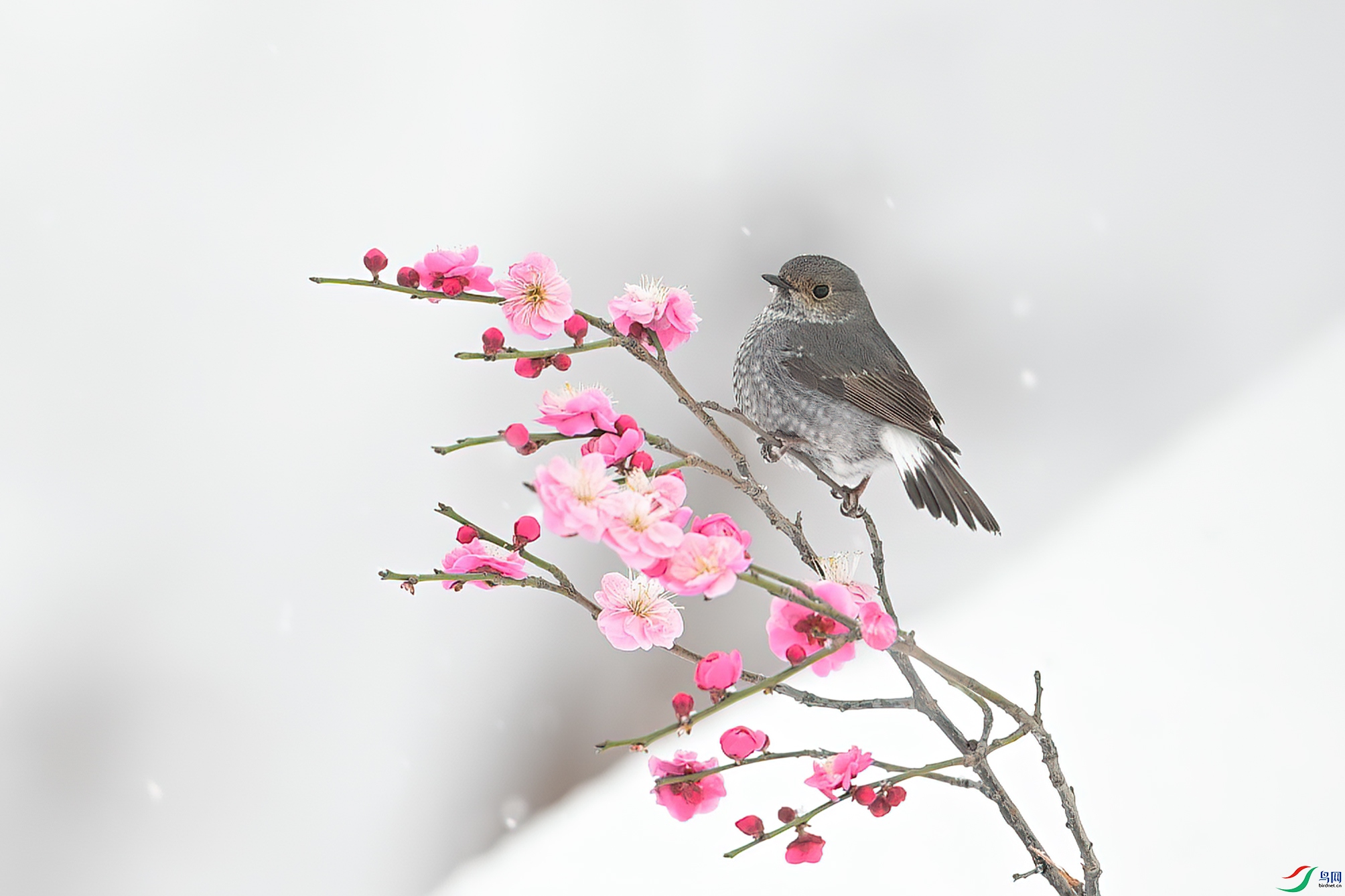 DST_-x ����.jpg