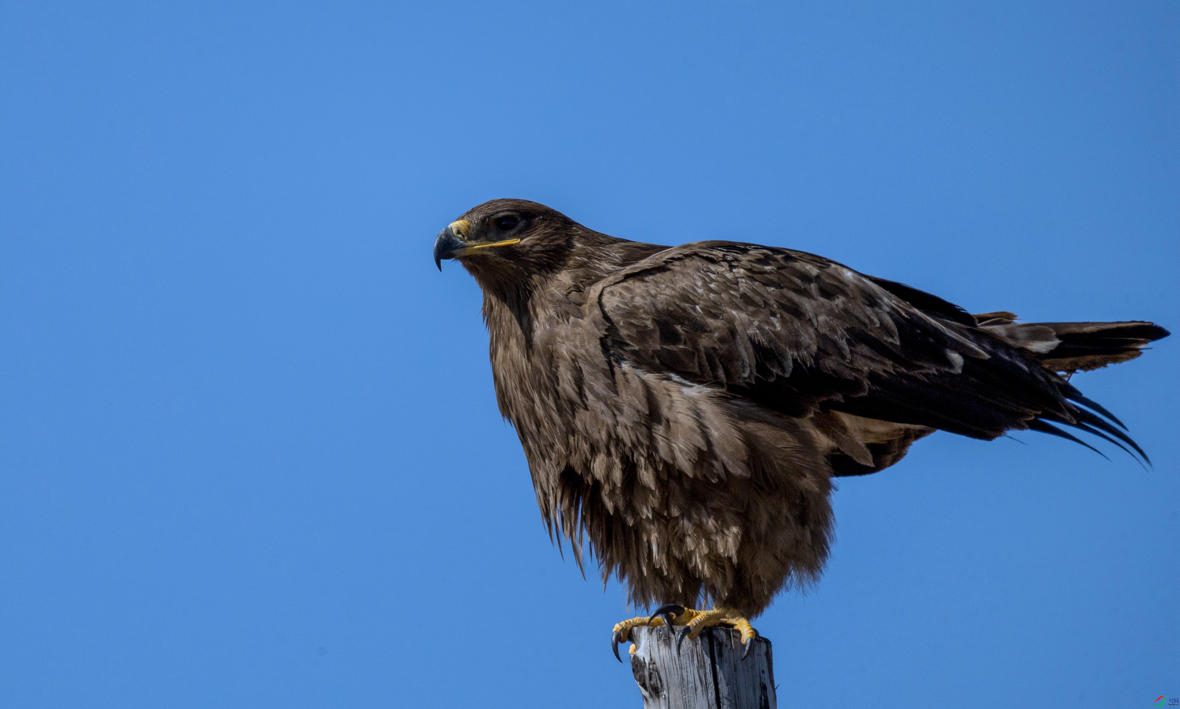 7X5A7785 ���� - ����.jpg