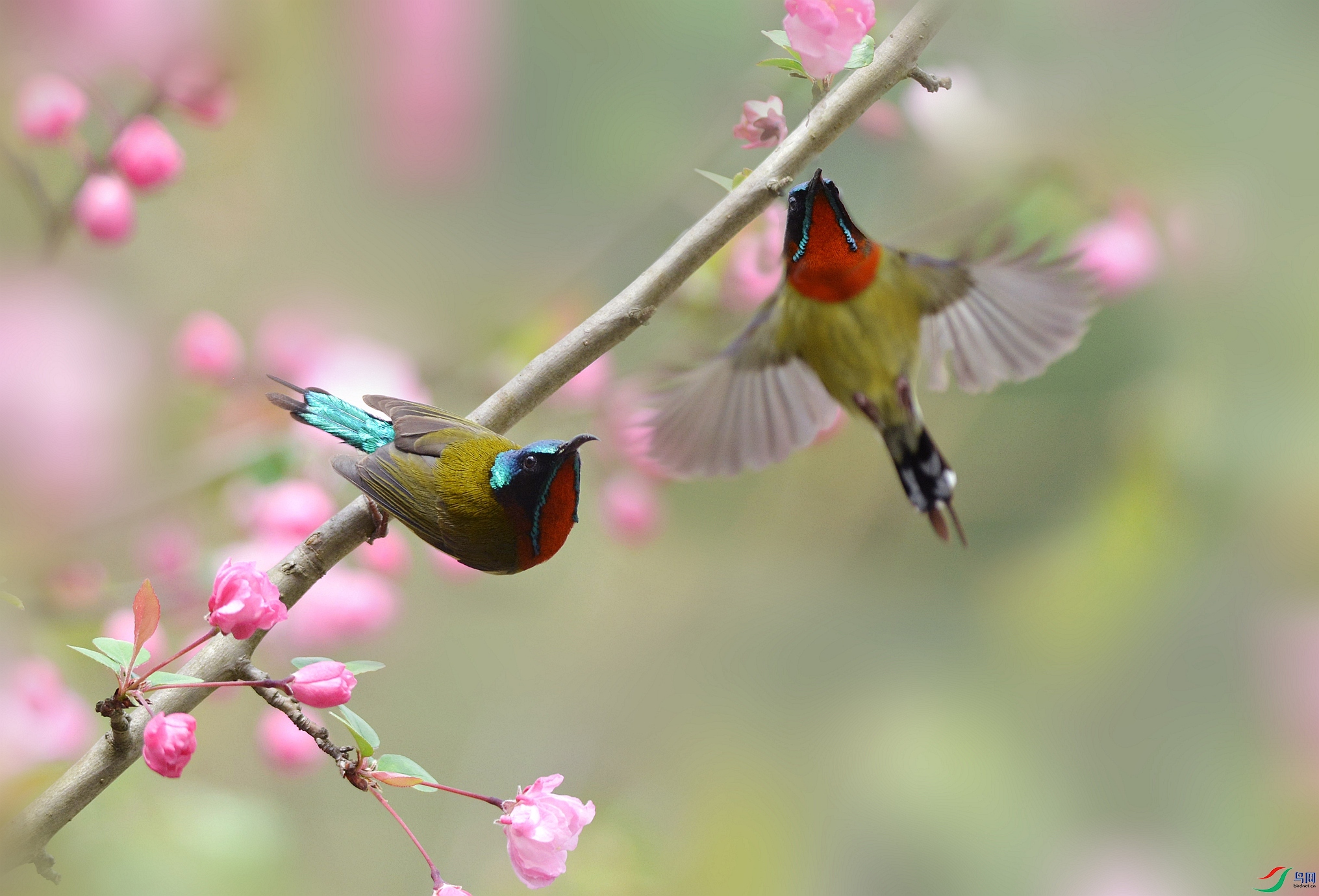 ZRS_5642_����_����.jpg