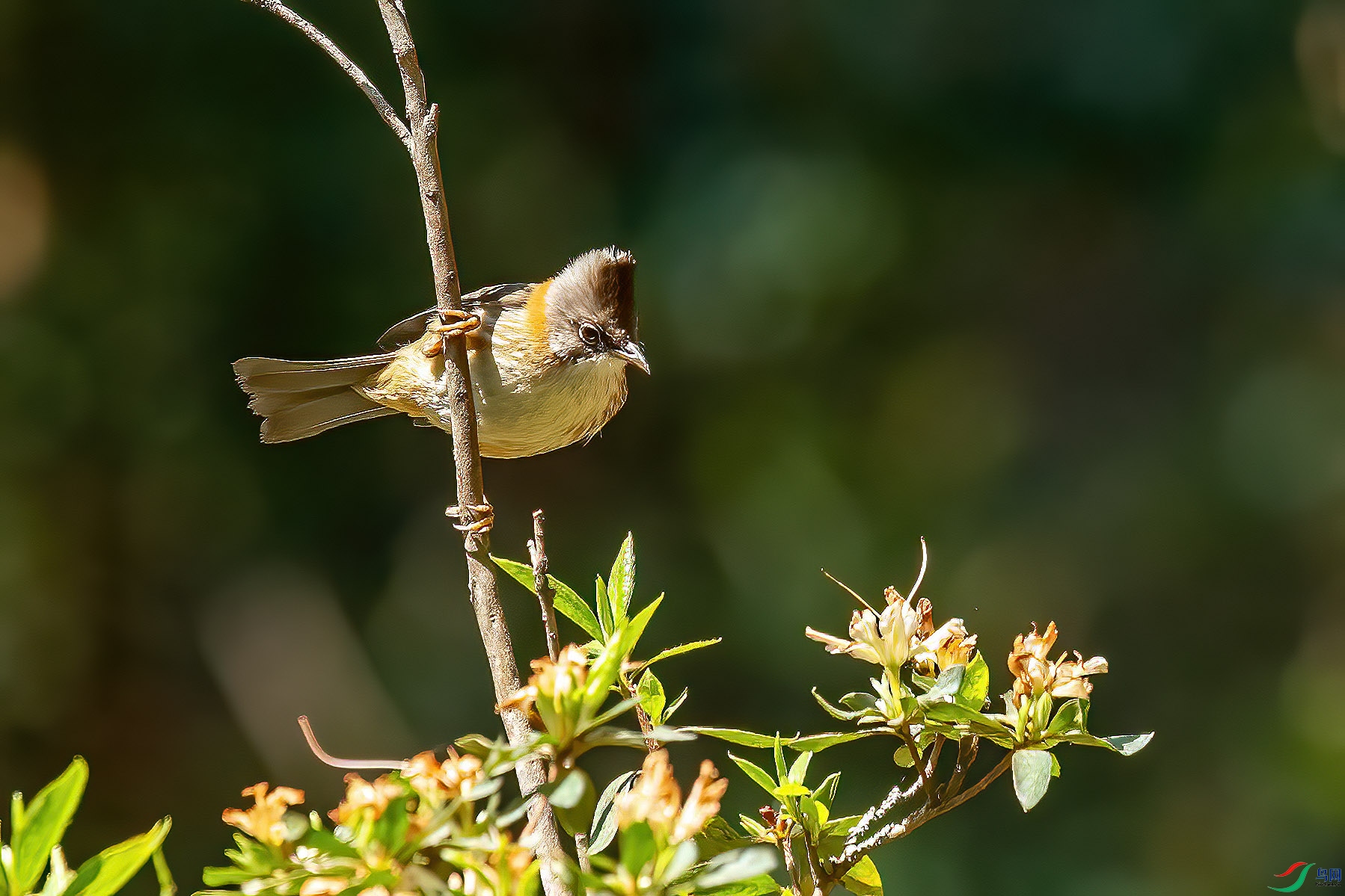 DSC_7512.jpg