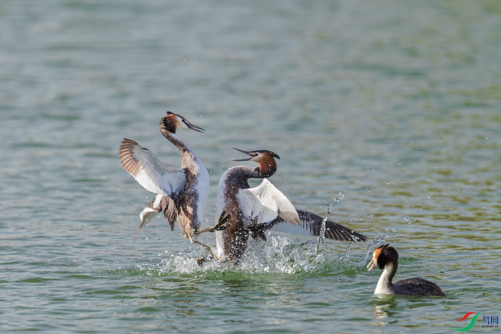 hnsq240319 (1112).jpg