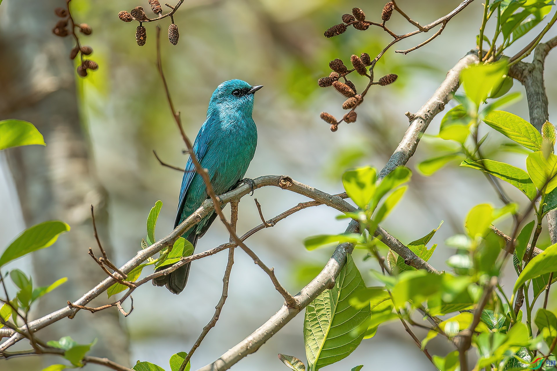 DSC_3897.jpg