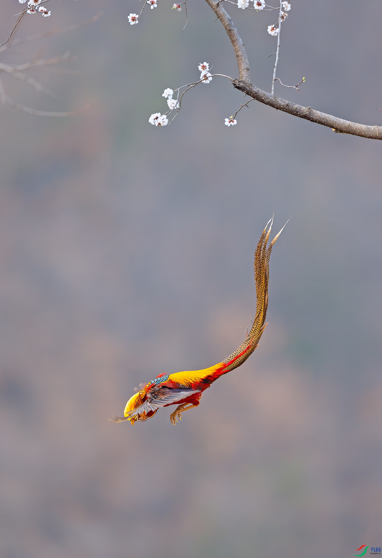 _F8A9096-�༭.jpg
