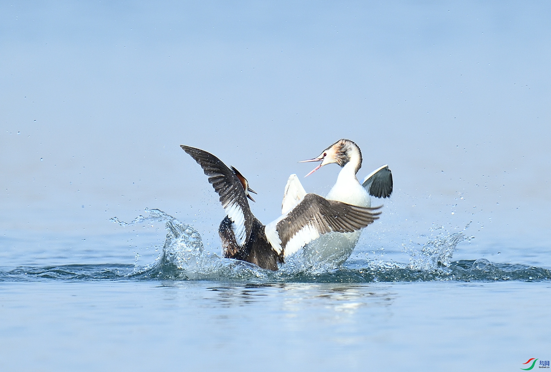 DSC_7567.JPG