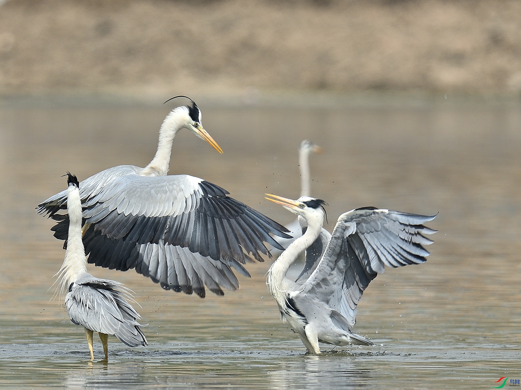 DSC_0399.JPG
