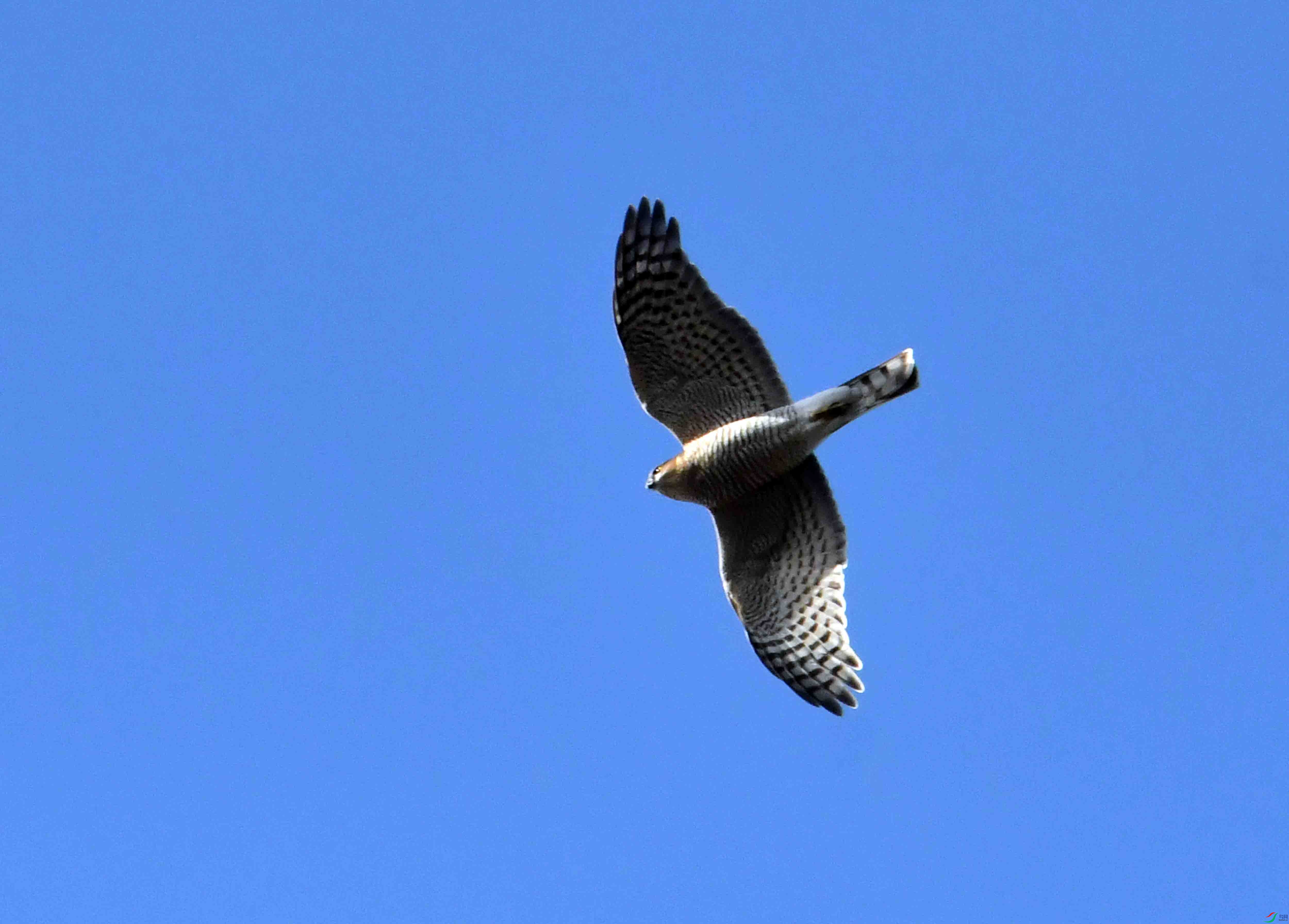 DSC_0712.JPG