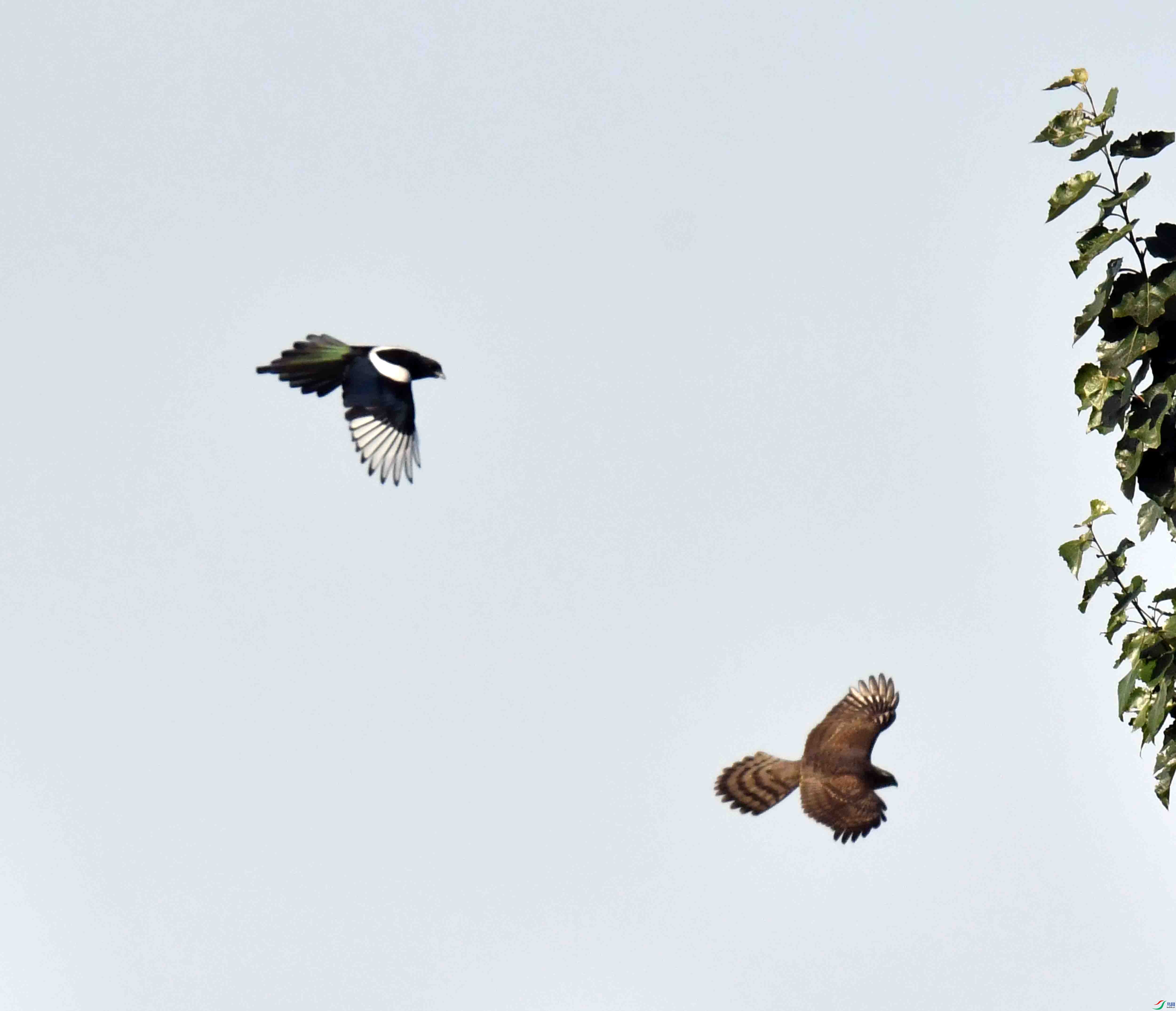 DSC_0738.JPG