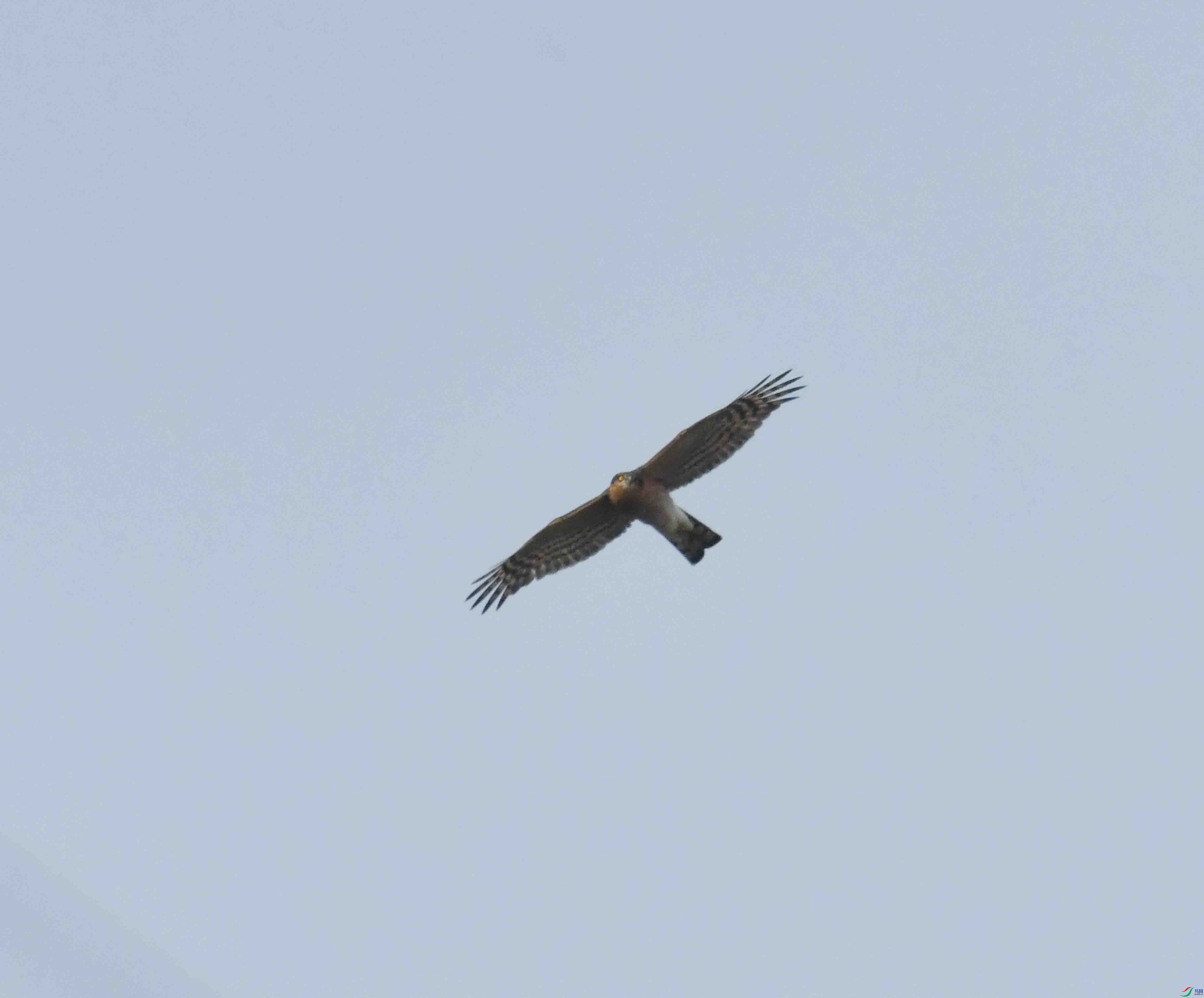 DSC_7890.JPG