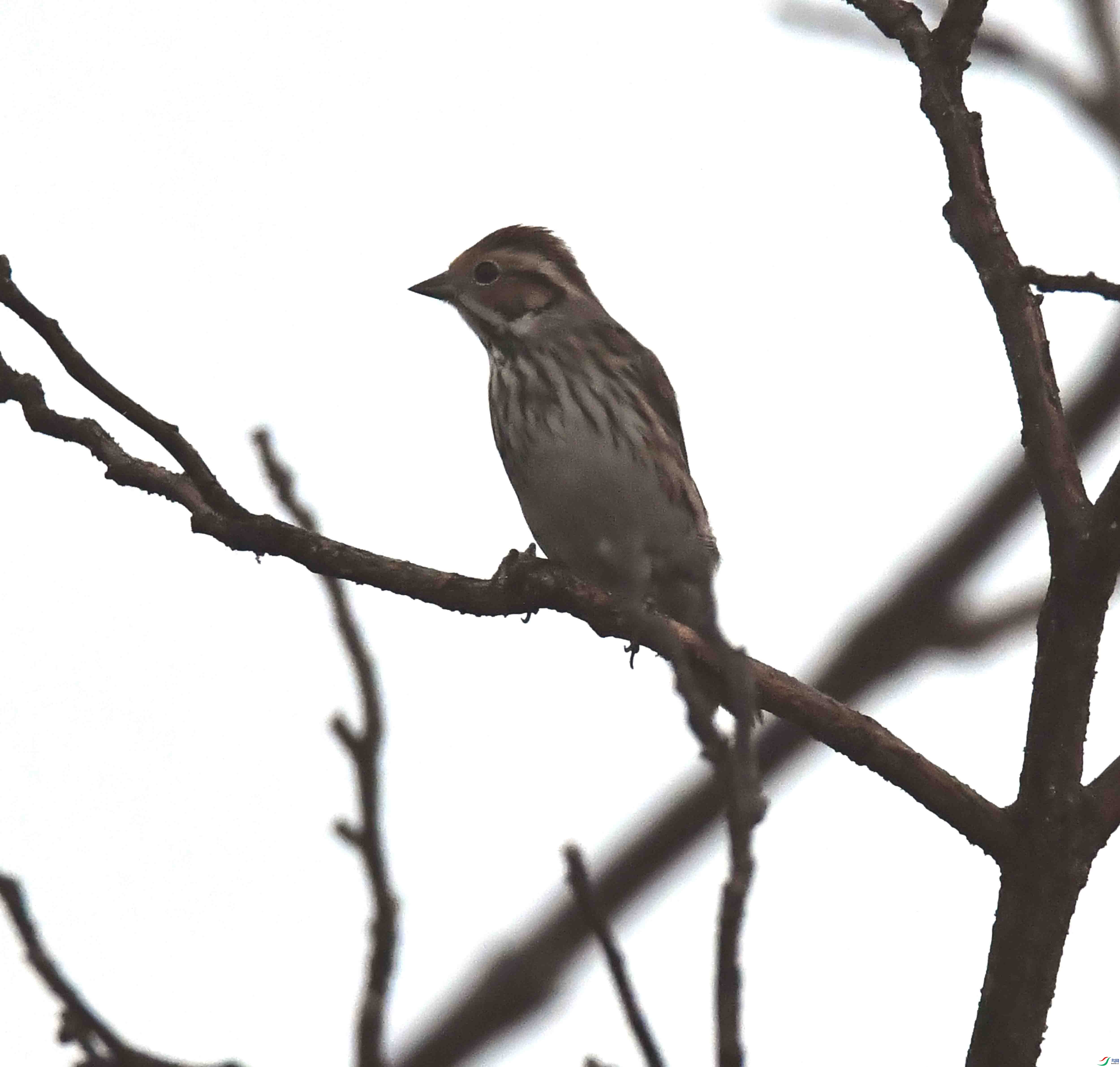 DSC_3645.JPG