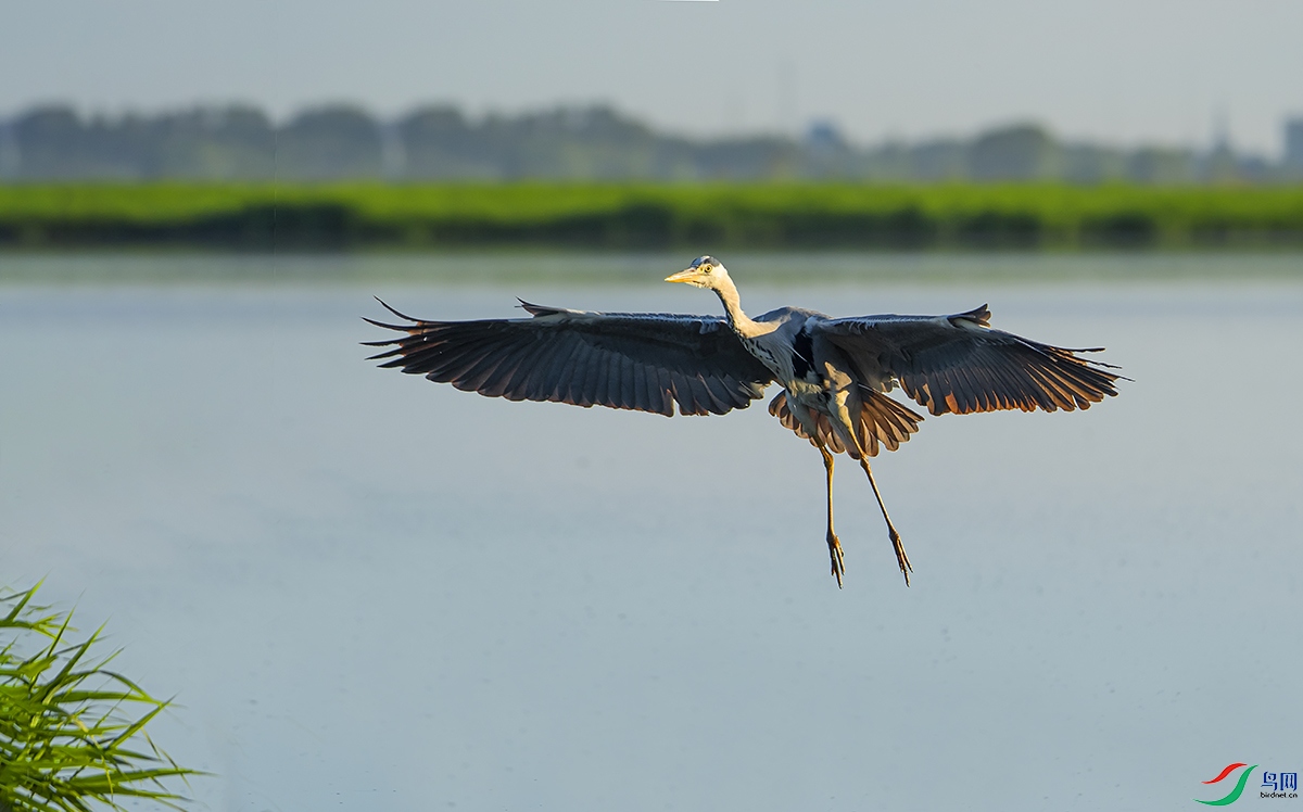 DSC_6434.jpg