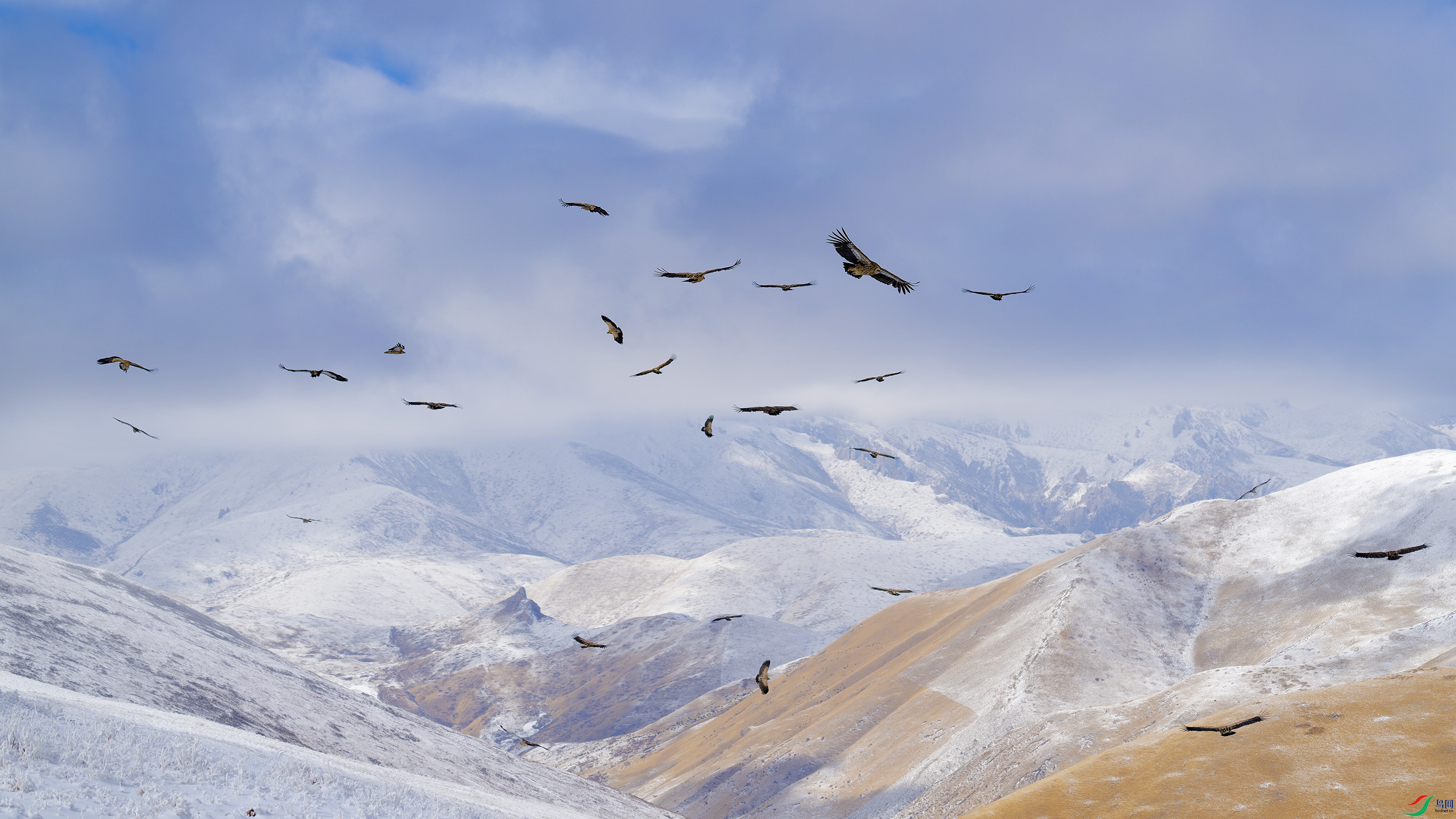 DSC_4880_DxO.jpg