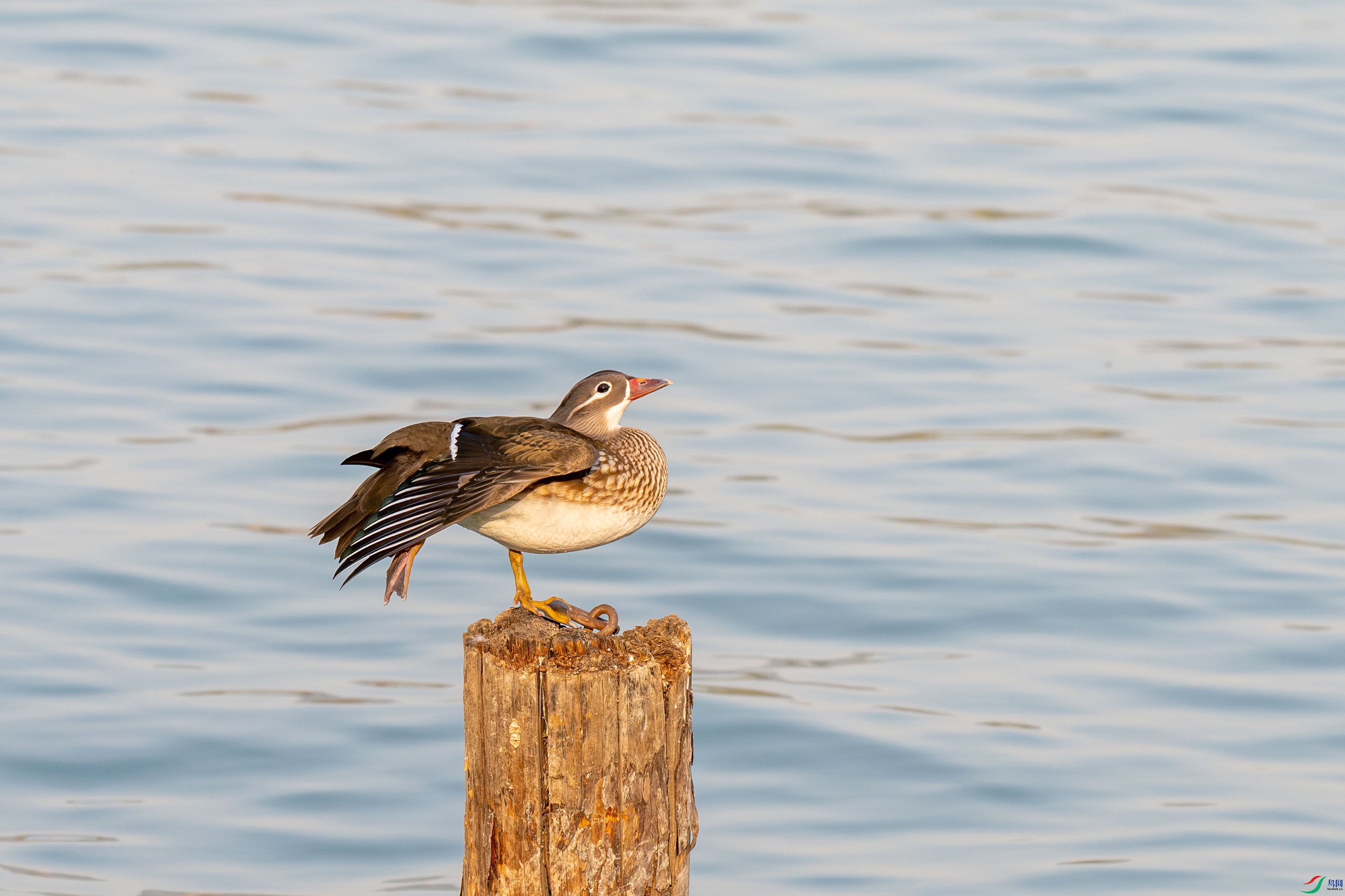DSC_7779.jpg