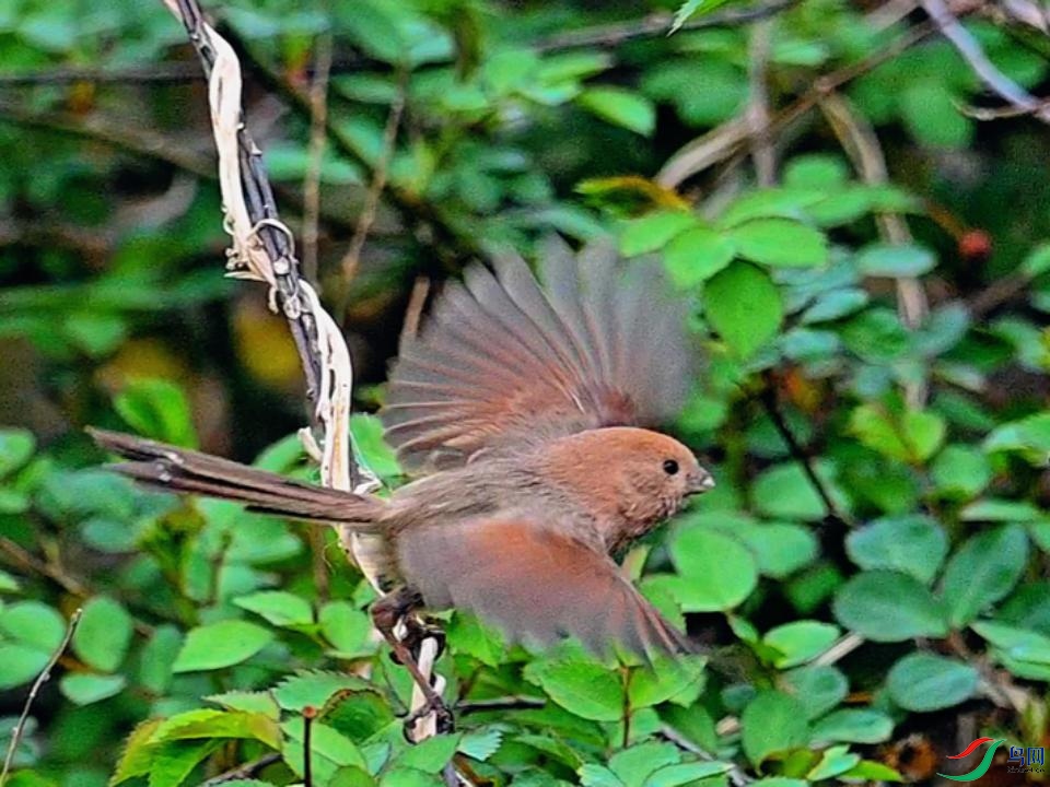 �ɰ�����ͷѻȸ