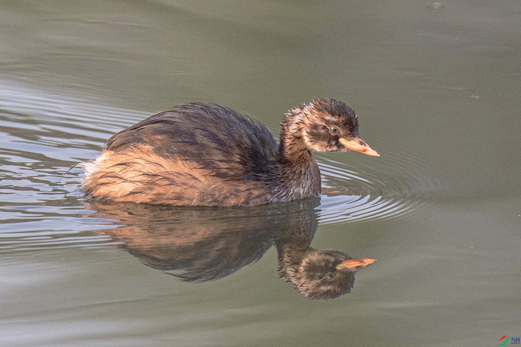 _90I8132 ���� 2.jpg