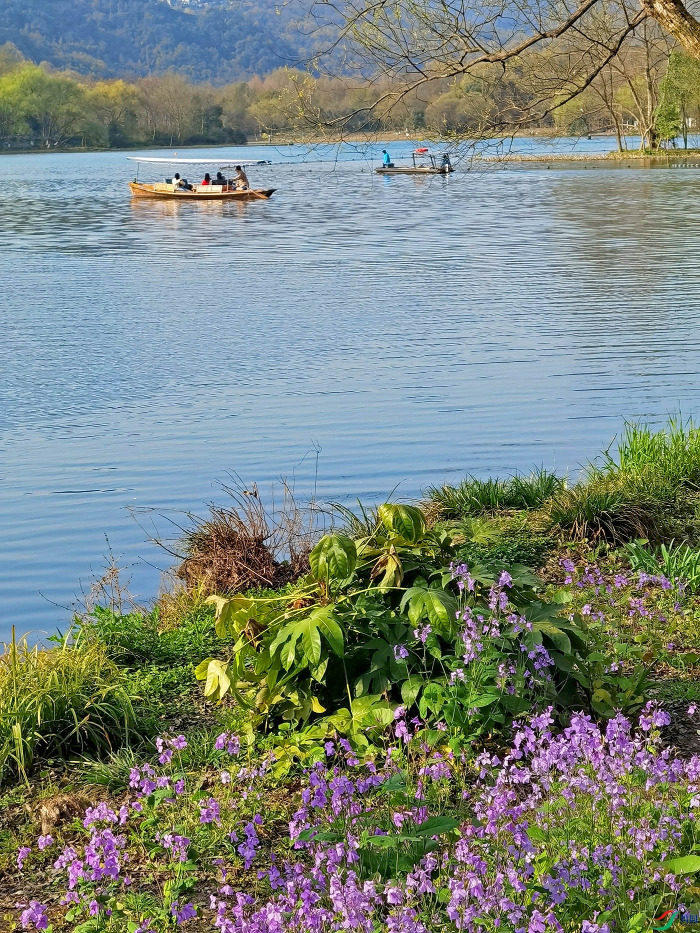 IMG_20240322_081131.jpg