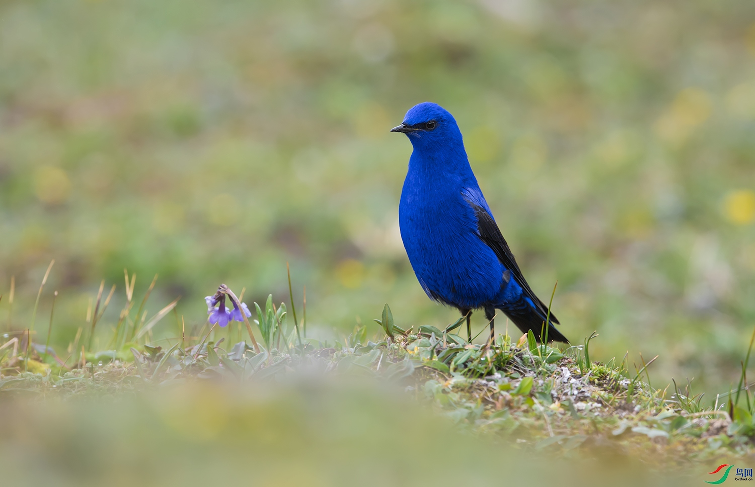 DSC_8711.jpg