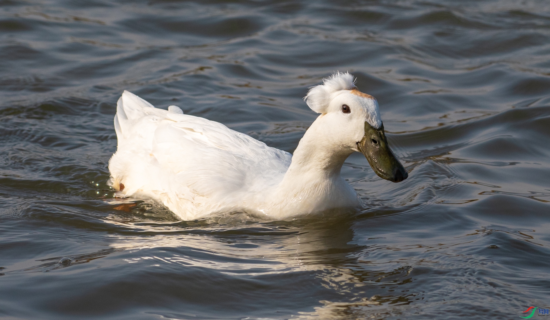 DSC_6834.jpg