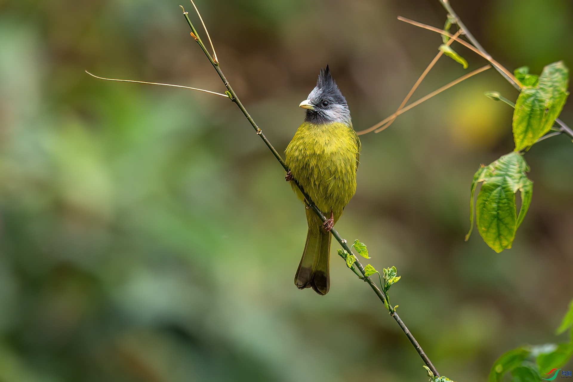 DSC_0620.jpg